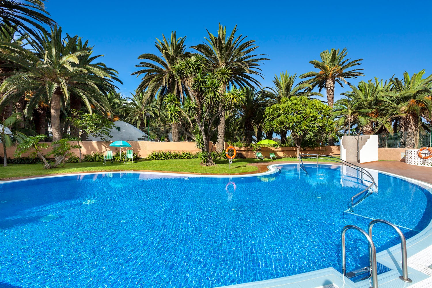 a pool with palm trees and a fence