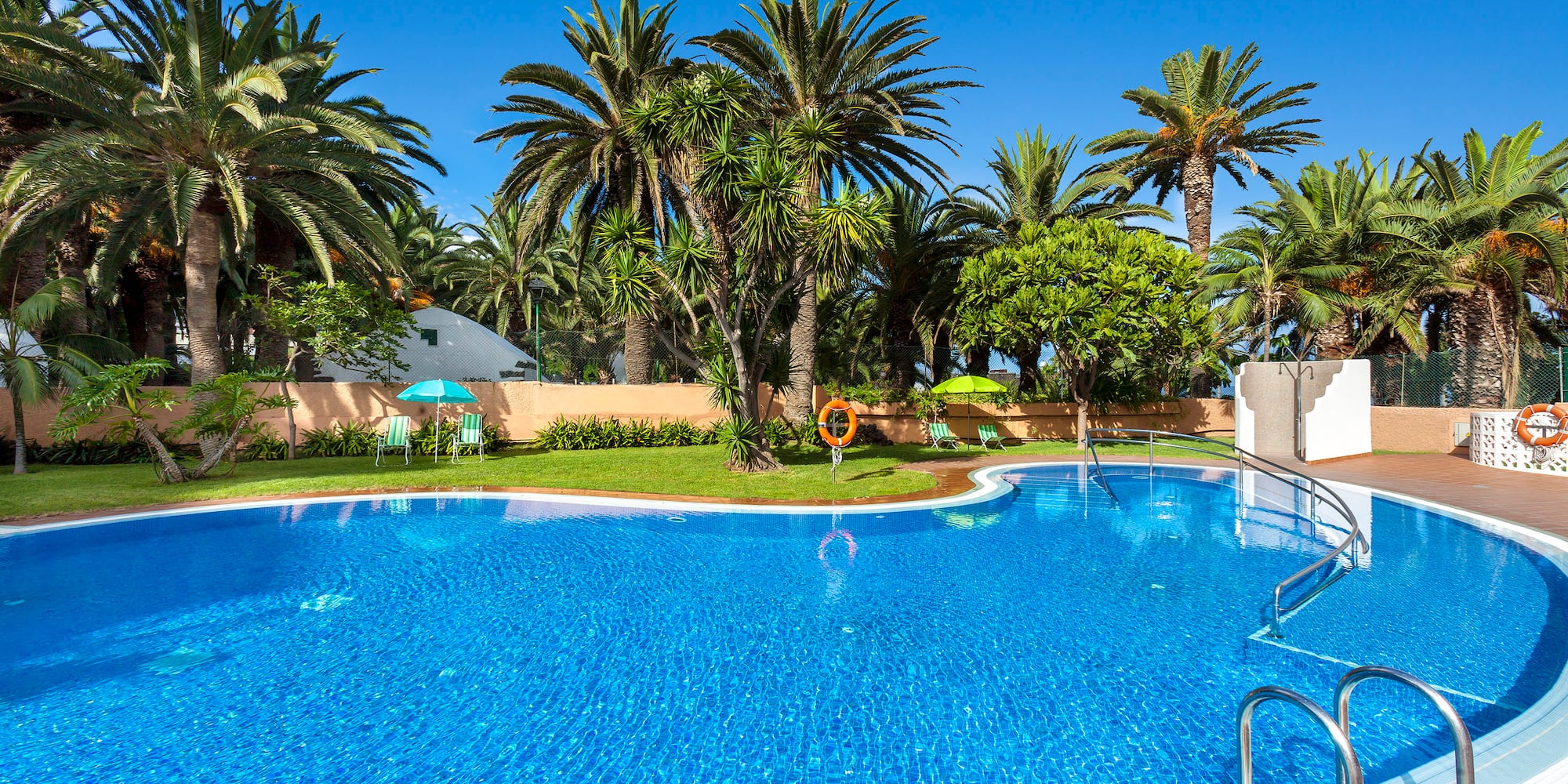 a pool with palm trees and a fence