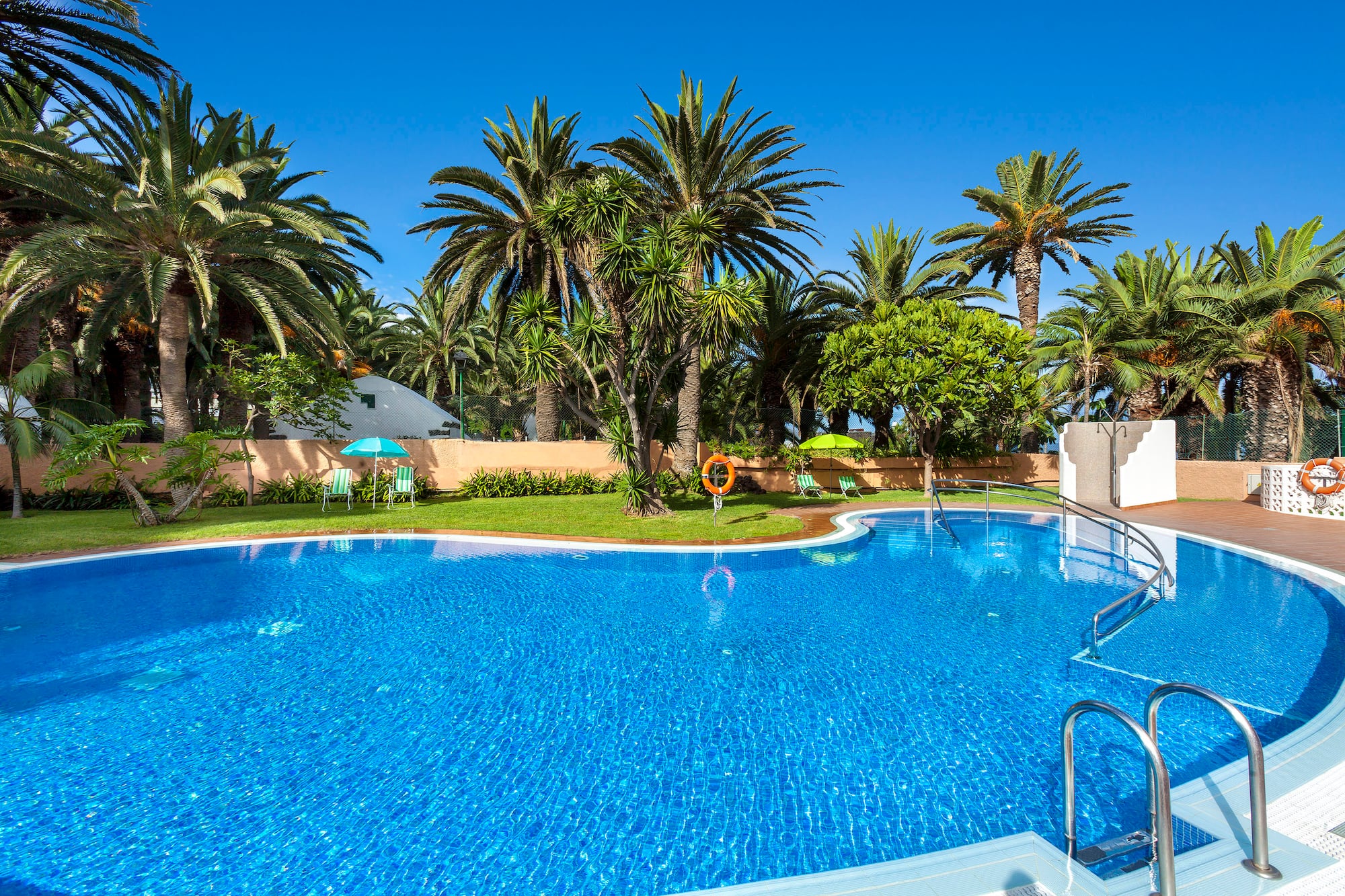 a pool with palm trees and a fence