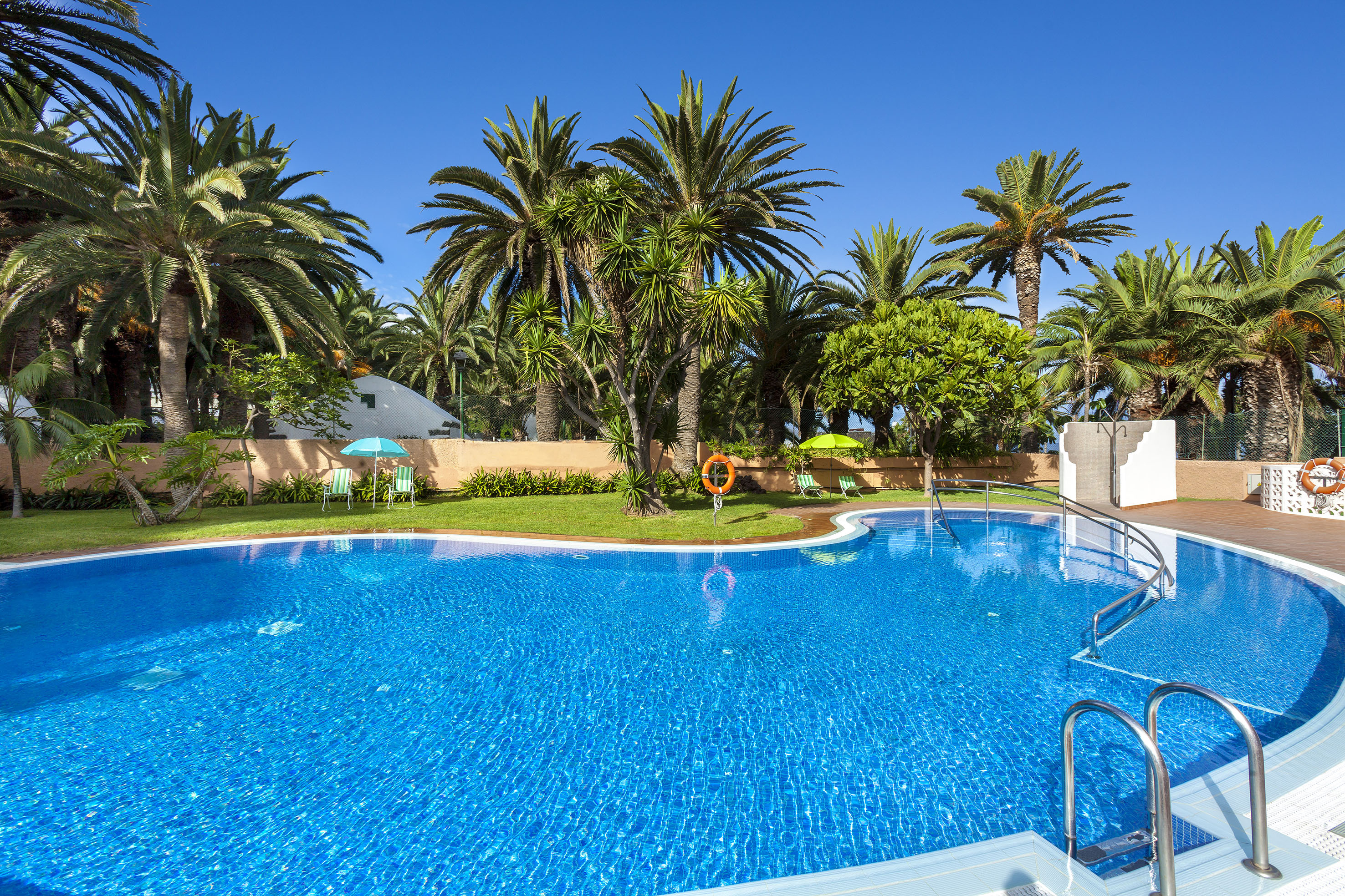 Blue swimming pool surrounded by tropical palm trees and green lawn.