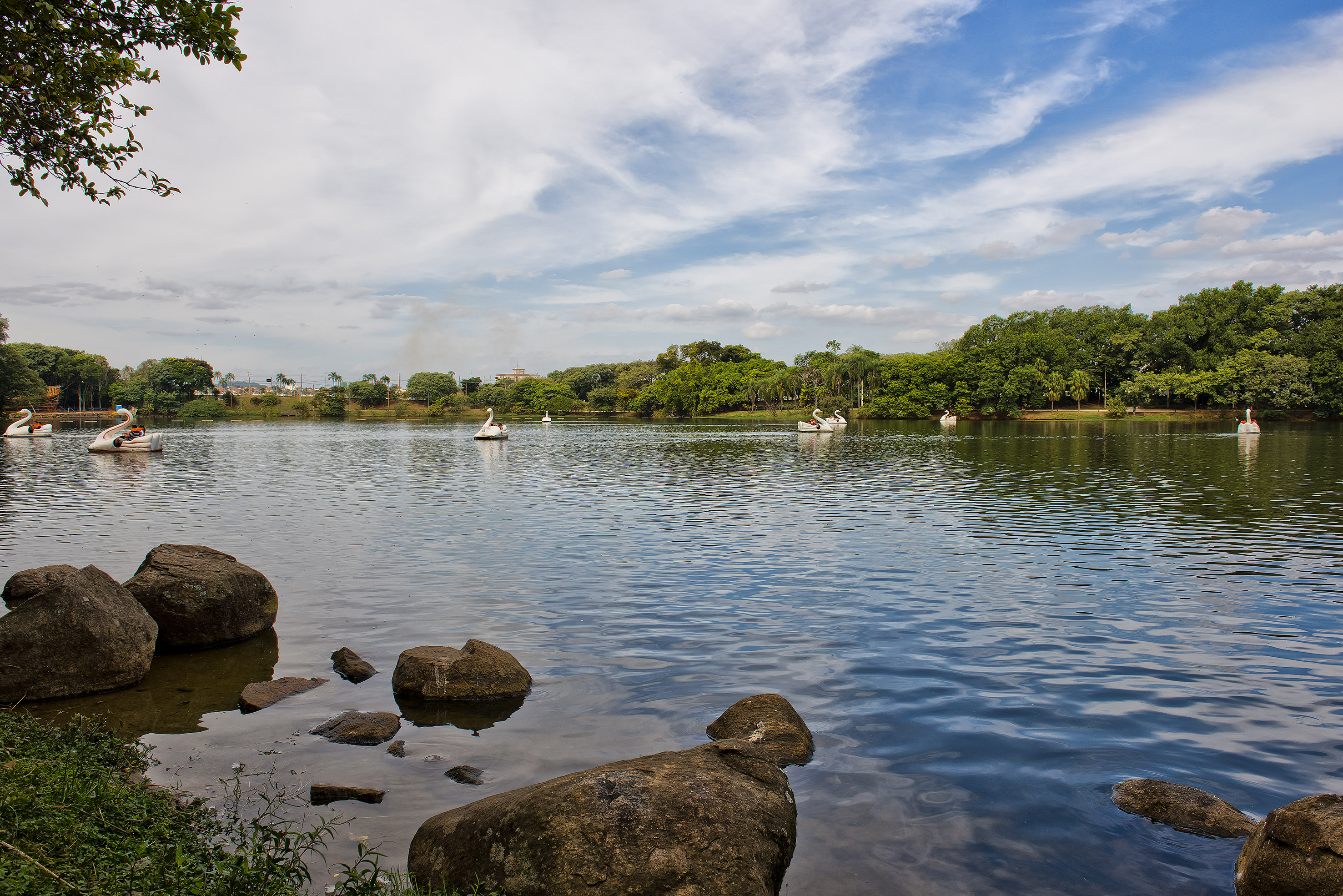 Park lake with swan pedal boats, green trees, and rocks.