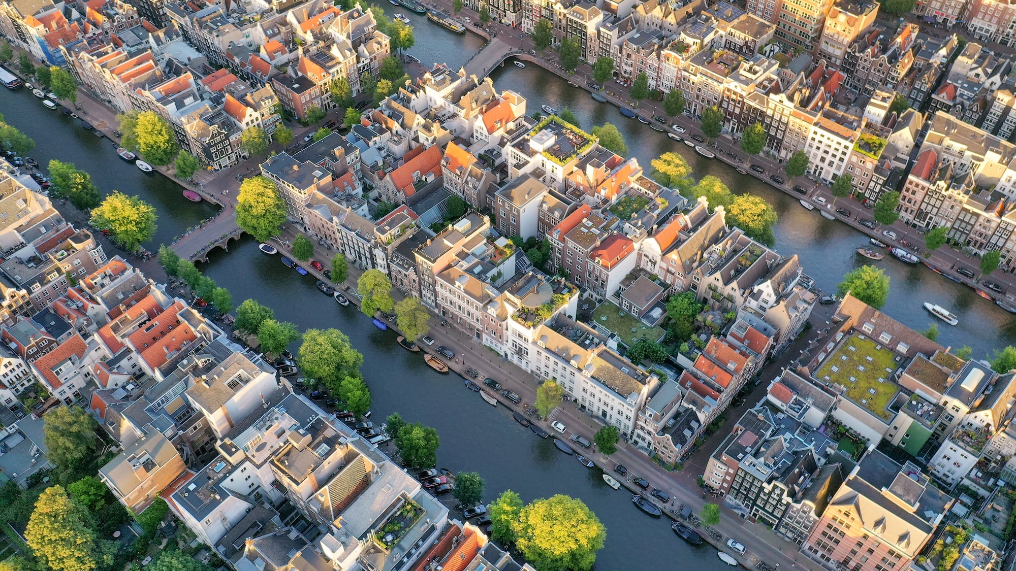 a river with buildings and trees