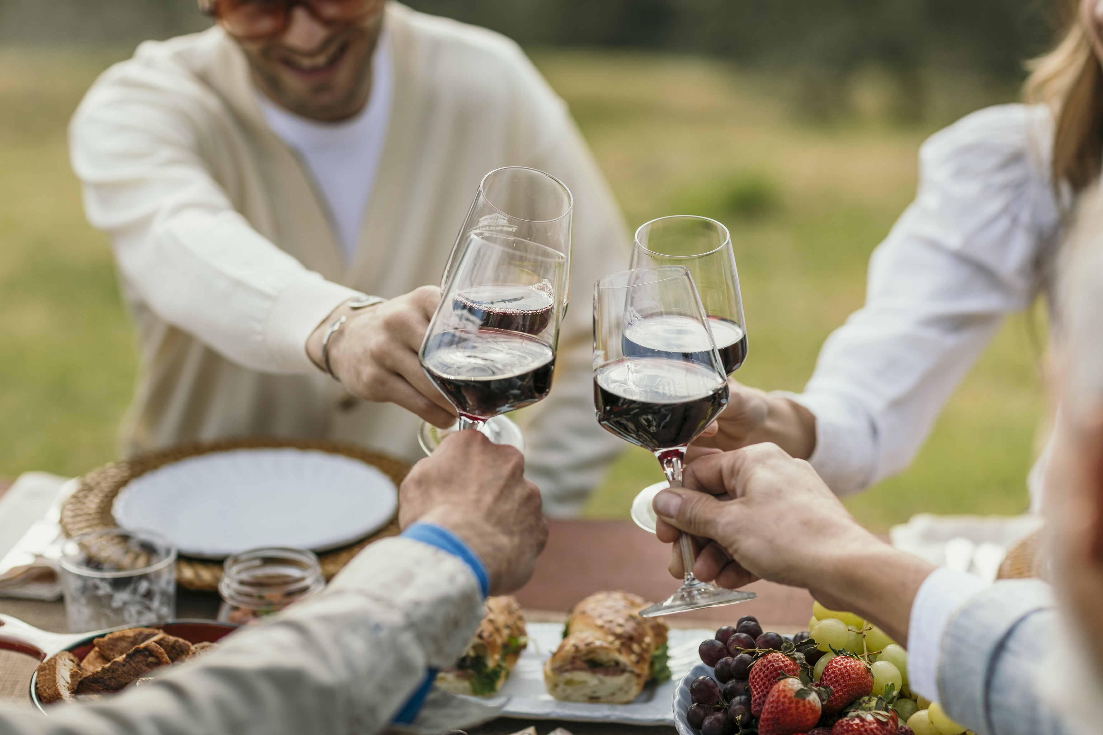 Friends toasting red wine glasses at an outdoor picnic with food.