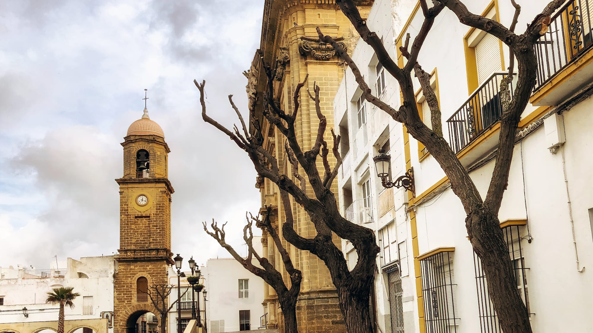 a tree next to a building