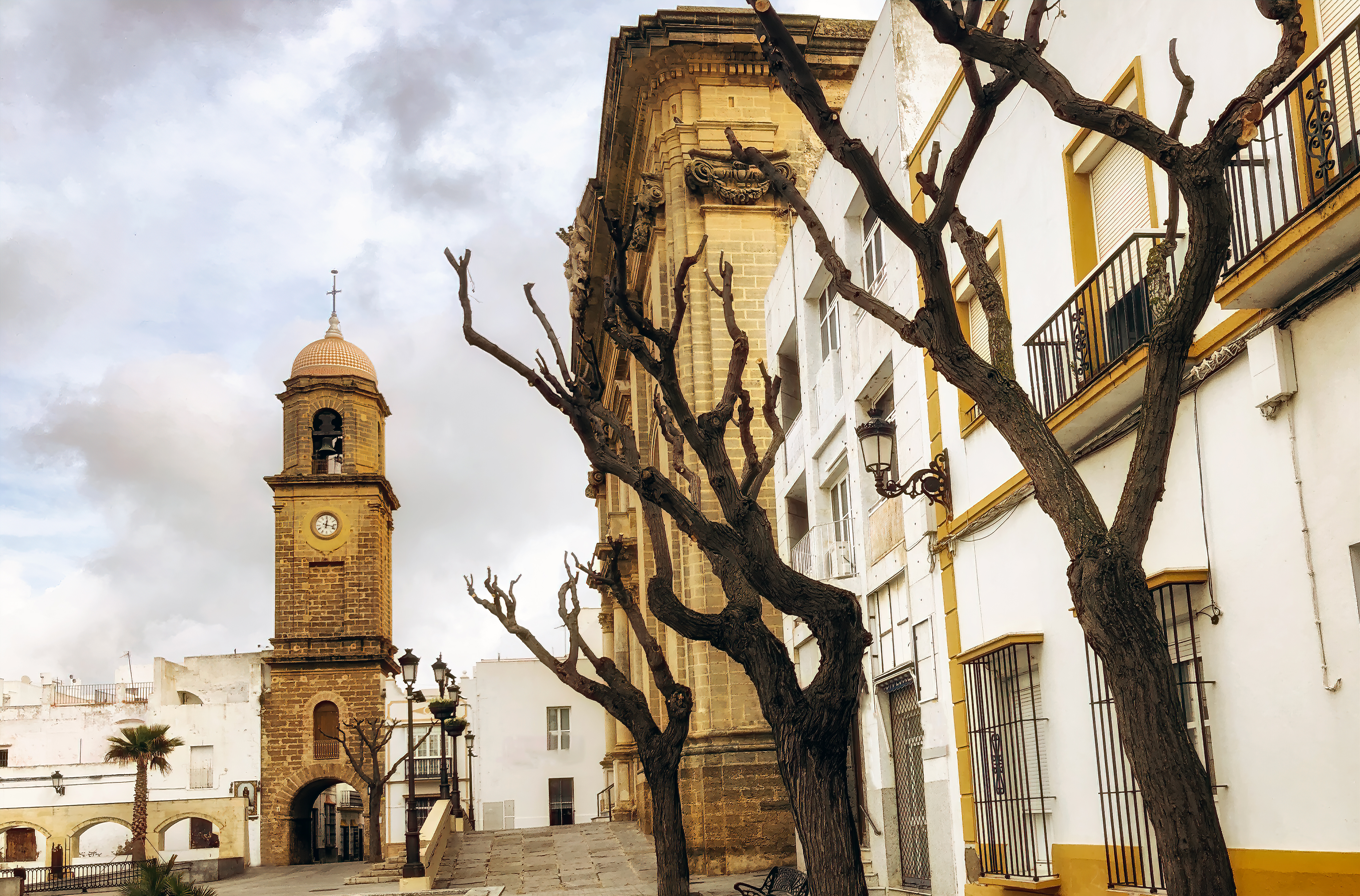 a tree next to a building