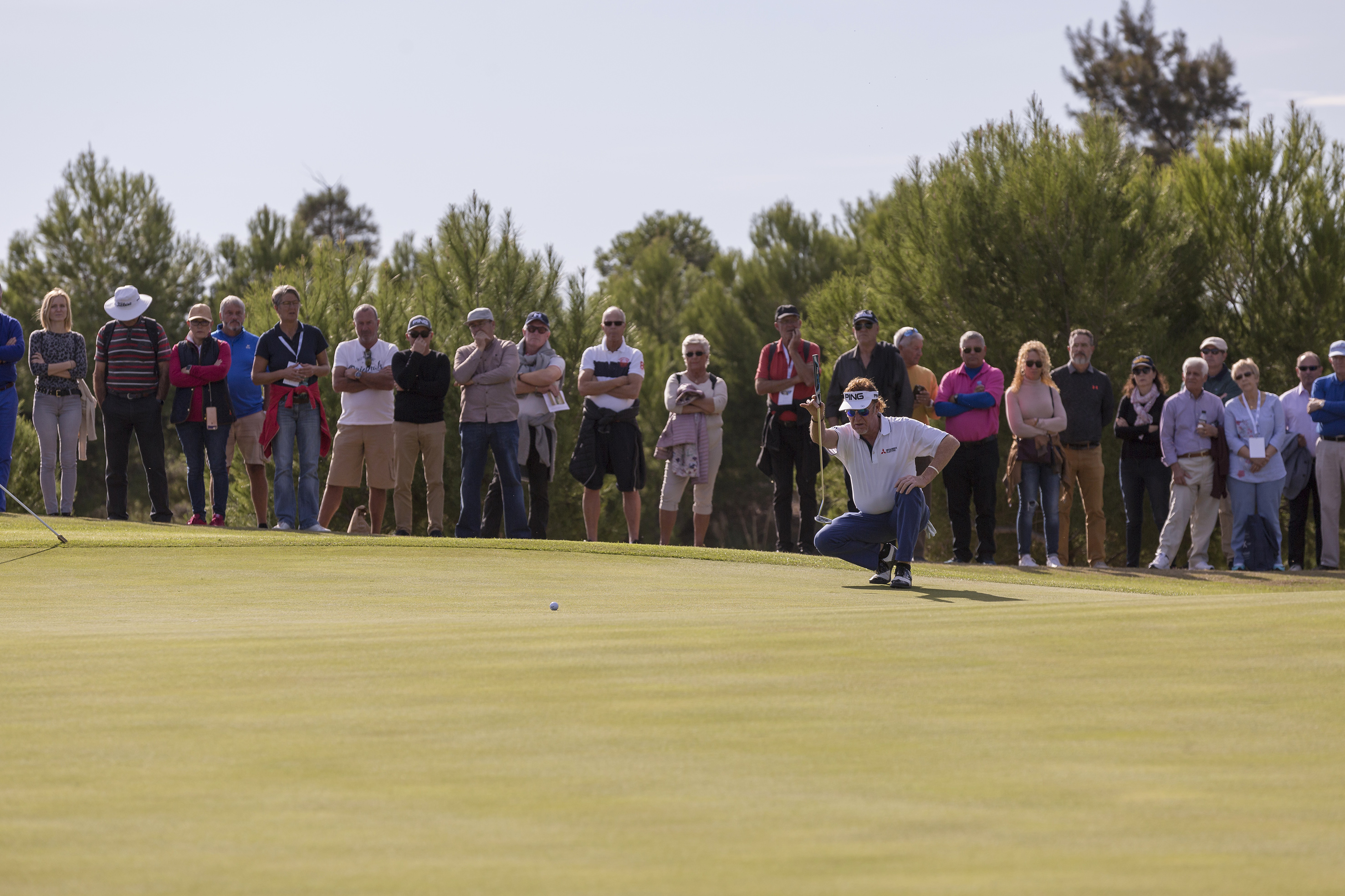 Golfer lines up putt on green, spectators watch a golf tournament.