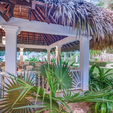 a gazebo with palm trees and grass