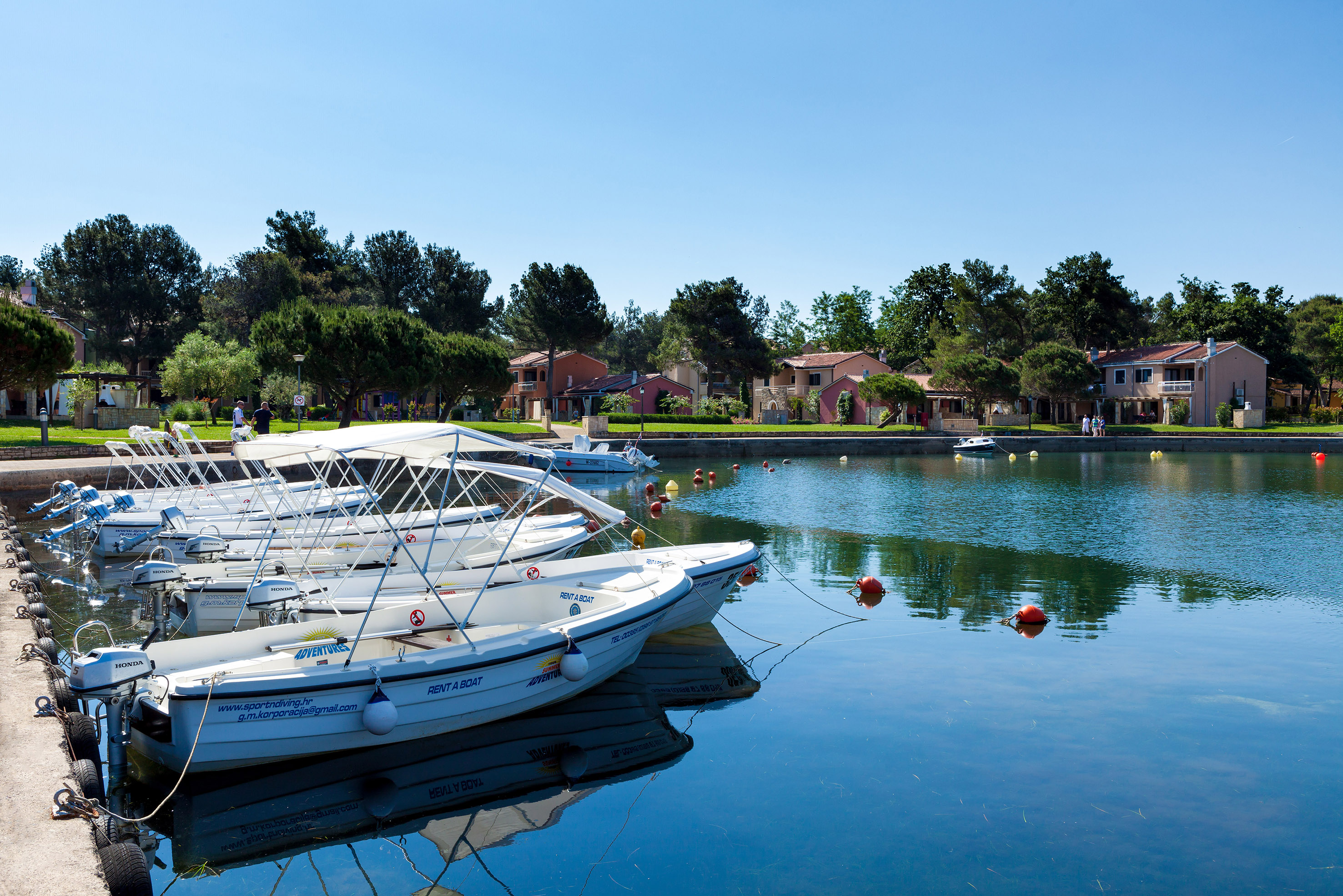 boats on the water