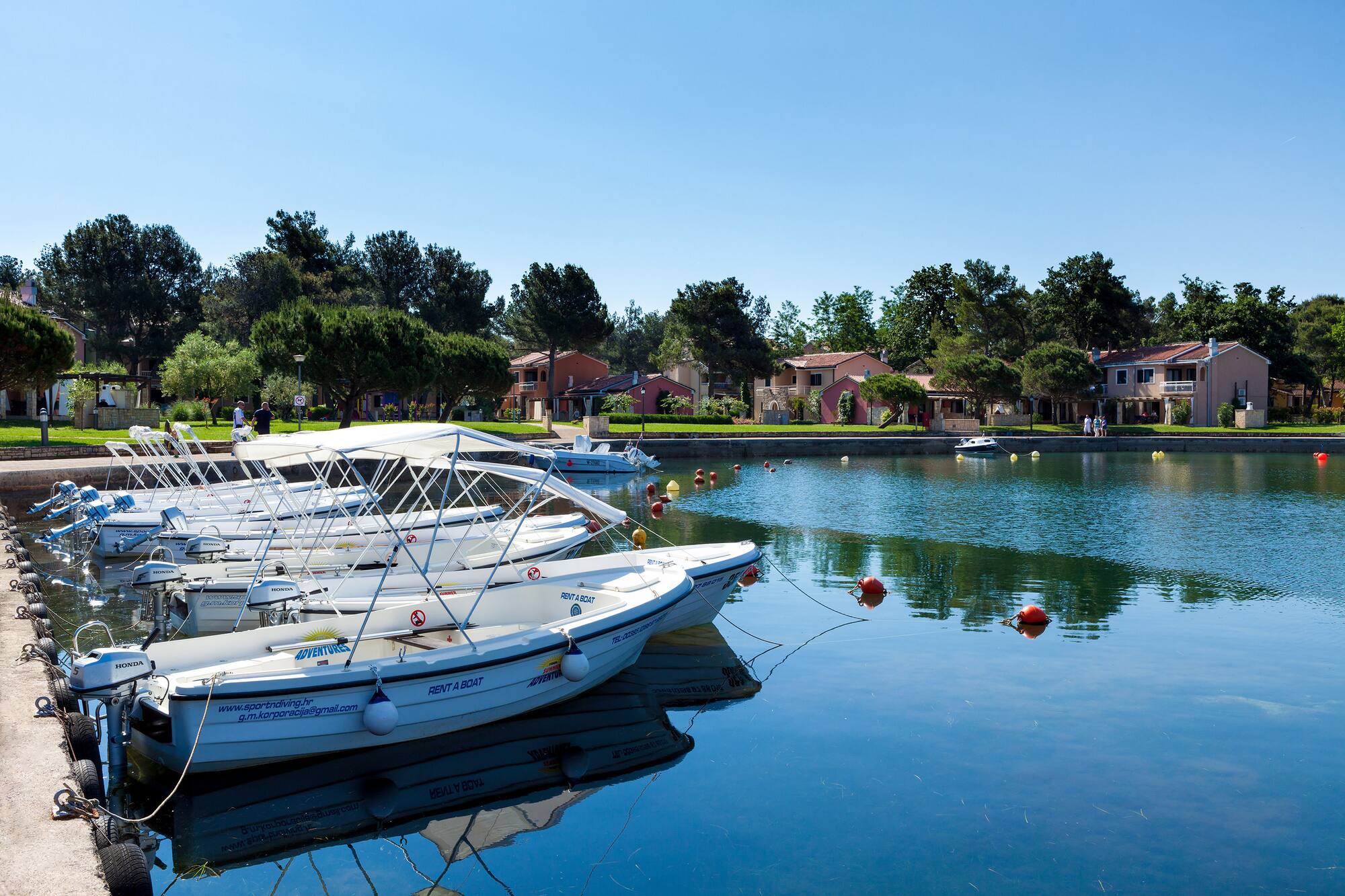 boats on the water