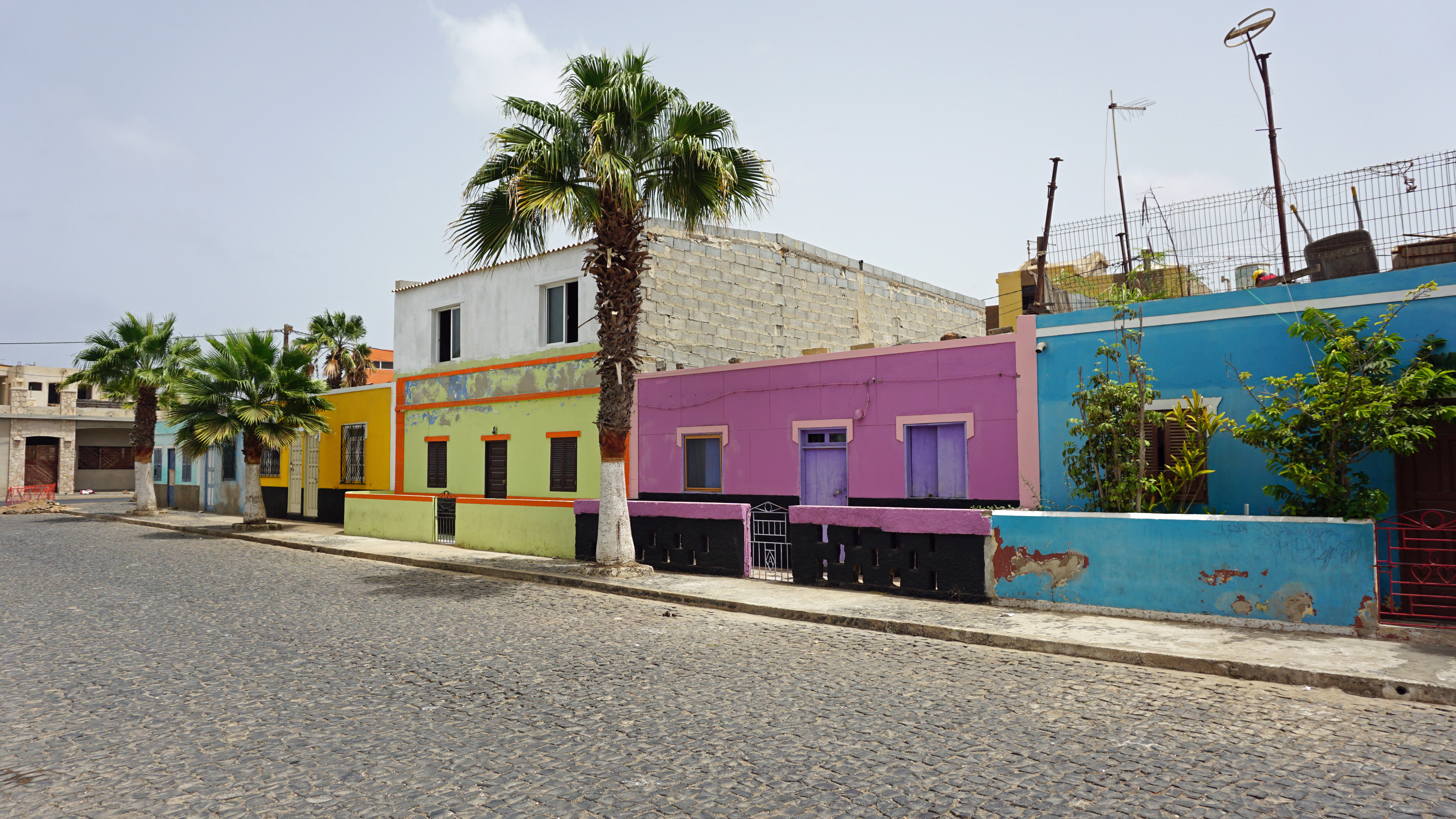 a street with colorful buildings and palm trees