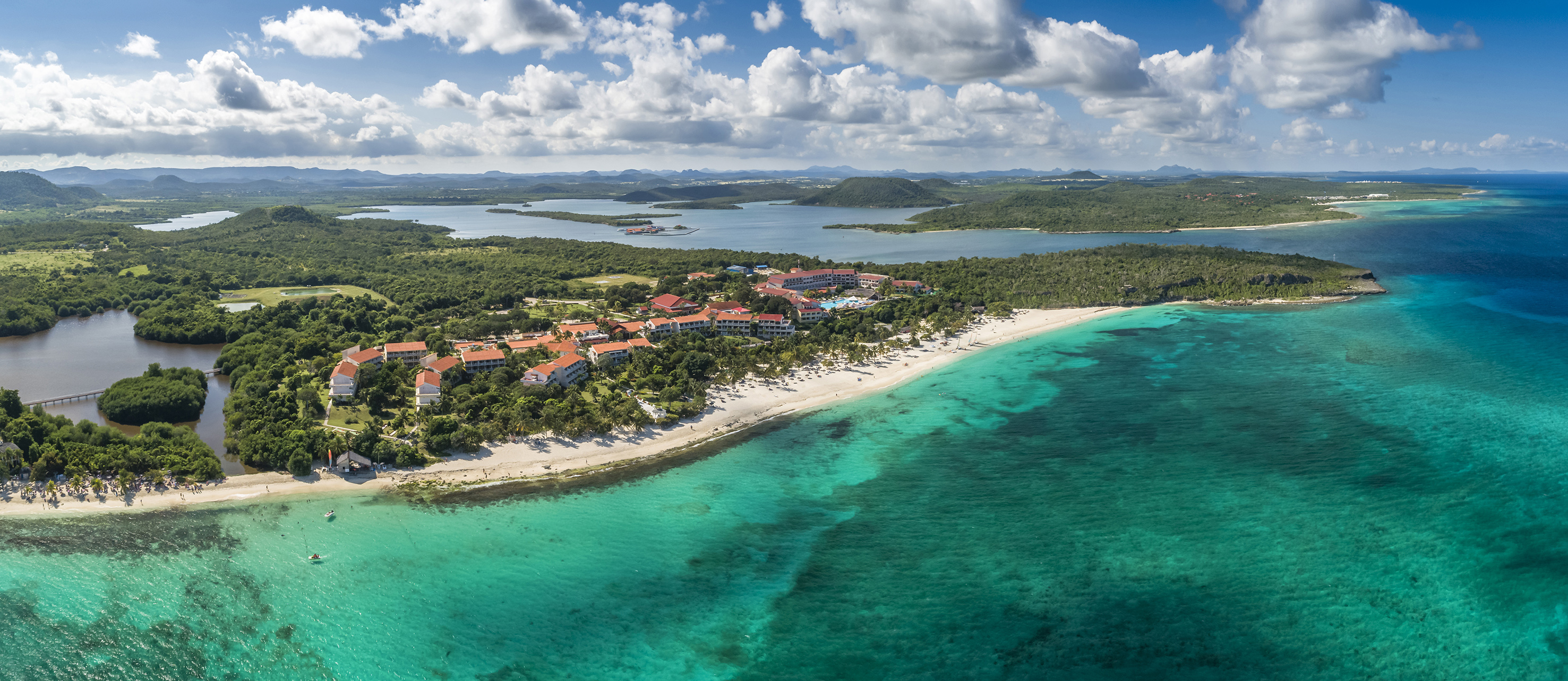 a beach with buildings and trees