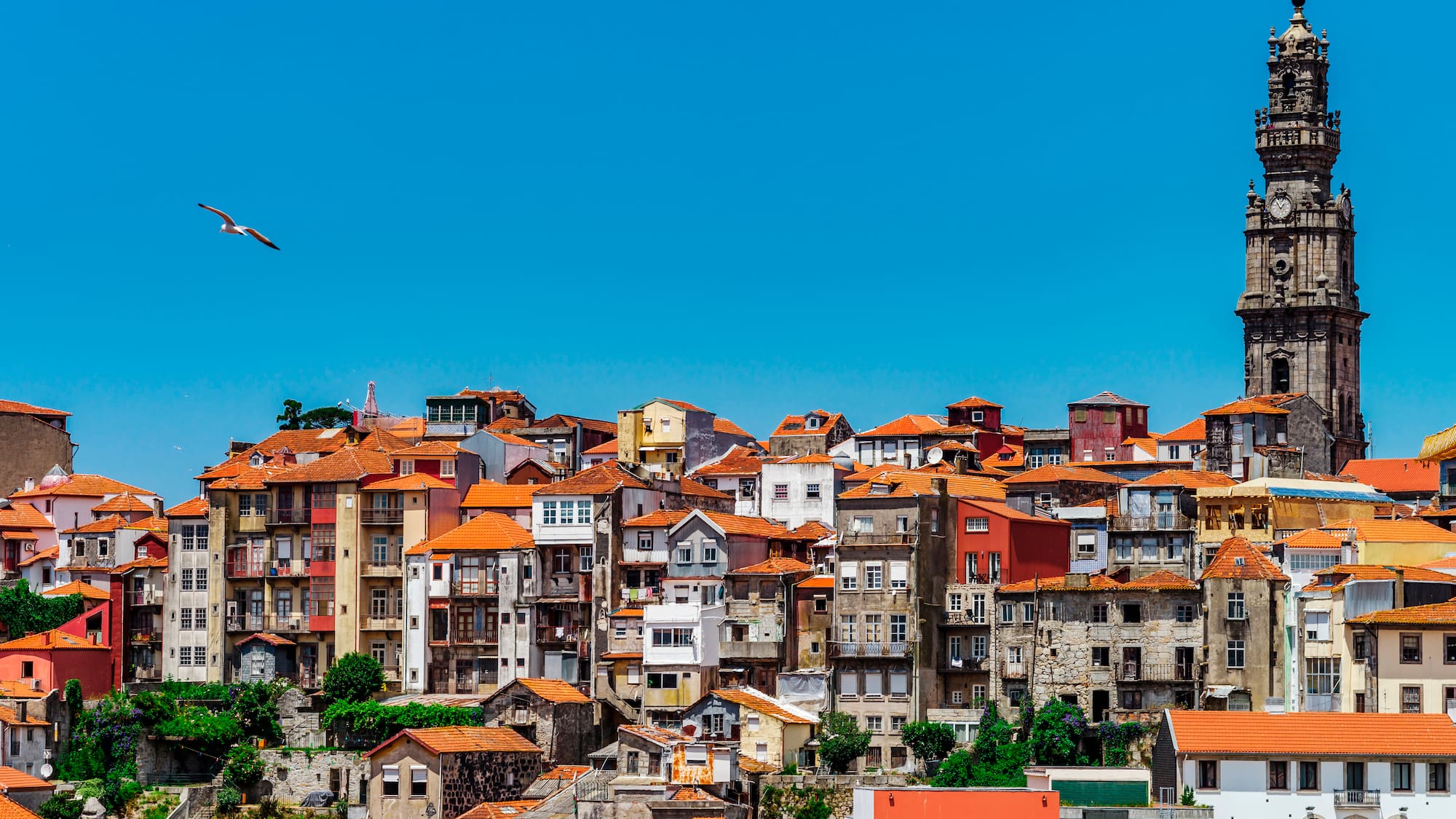 a bird flying over a city