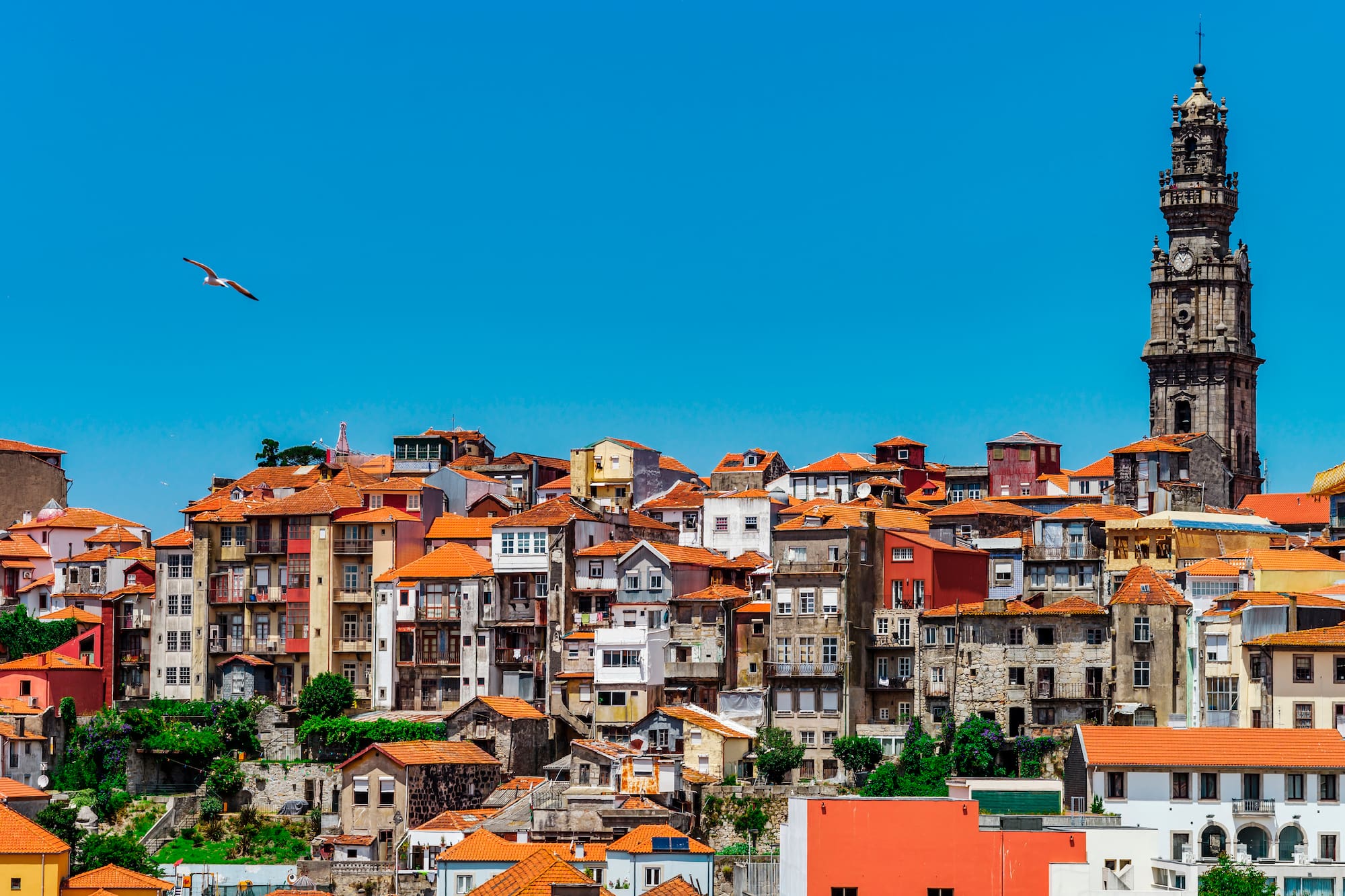 a bird flying over a city