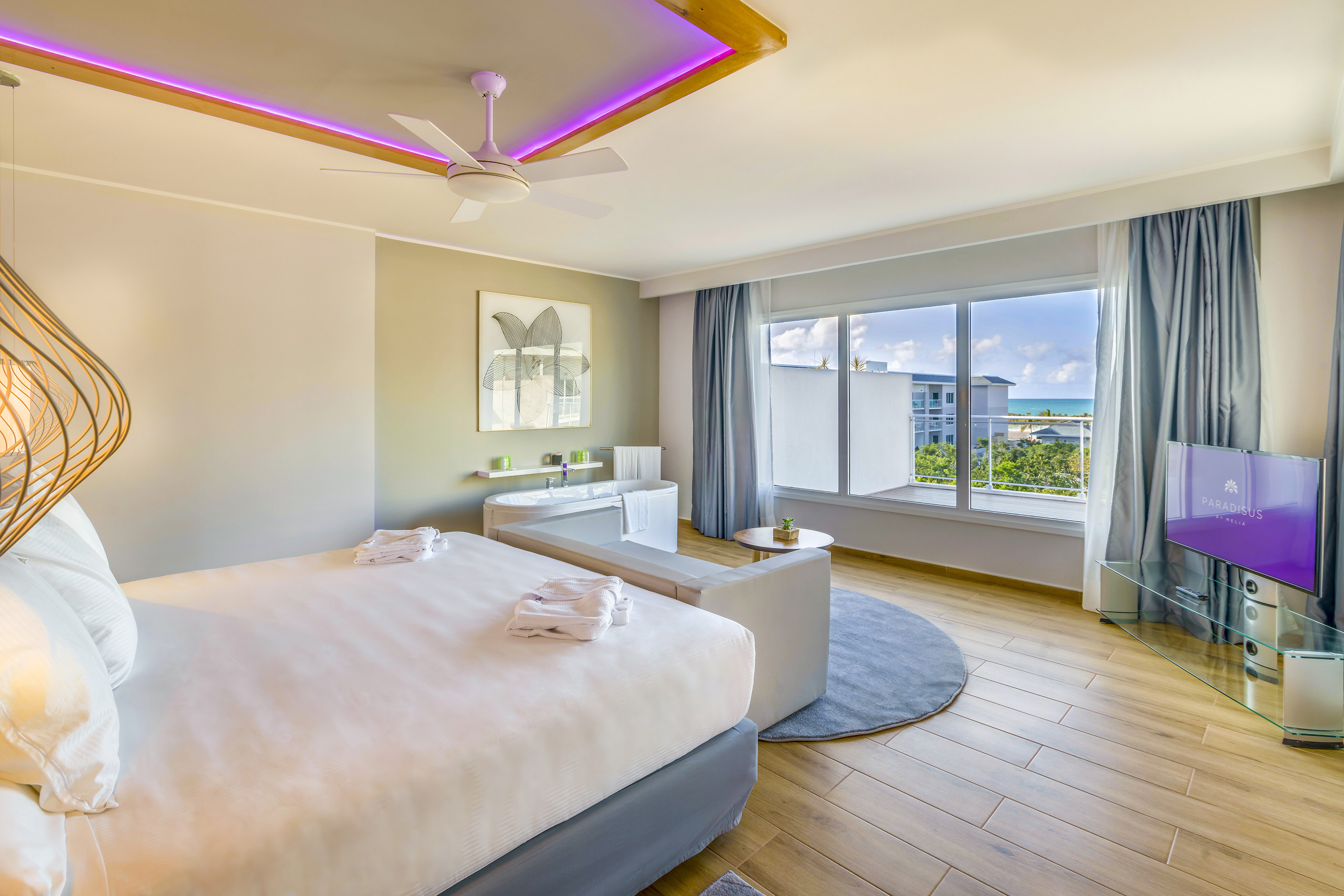 a room with a bed and a couch