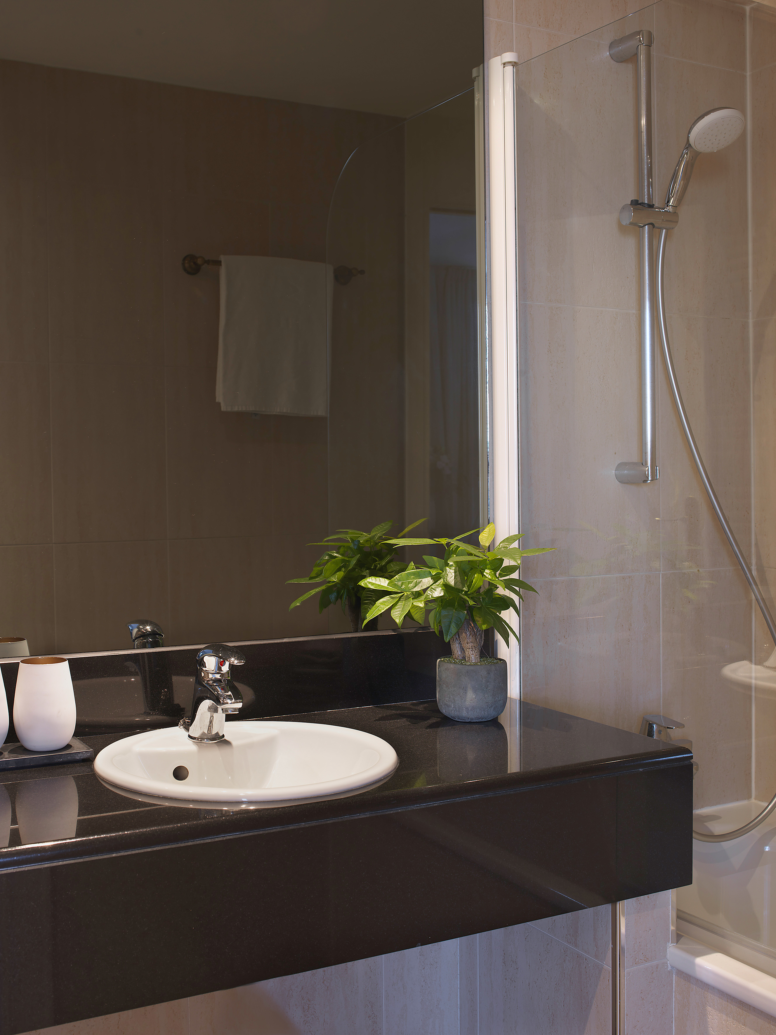 Modern bathroom vanity with white sink, black counter, plant, and shower.