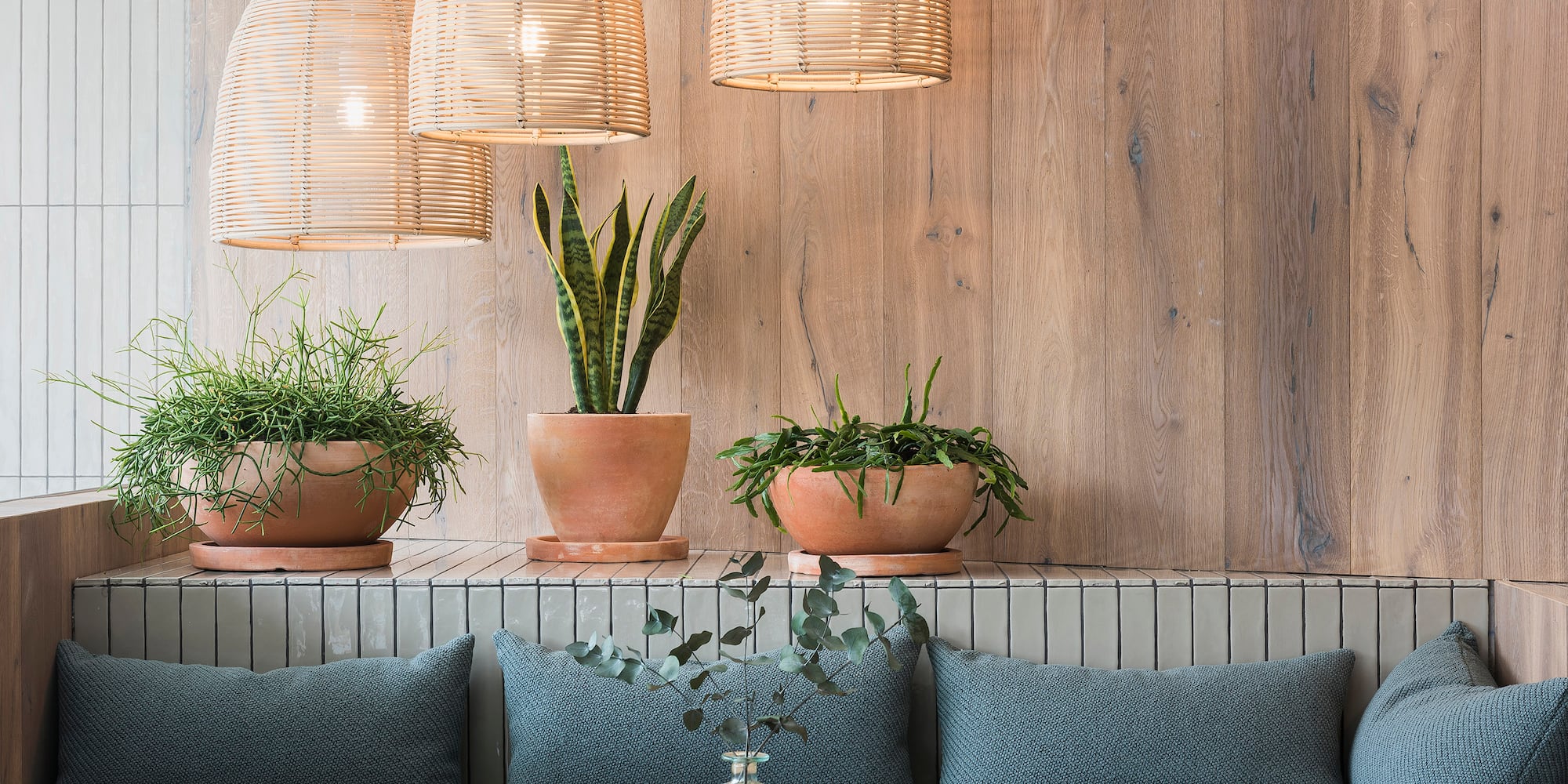a room with a table and chairs and a table with plants