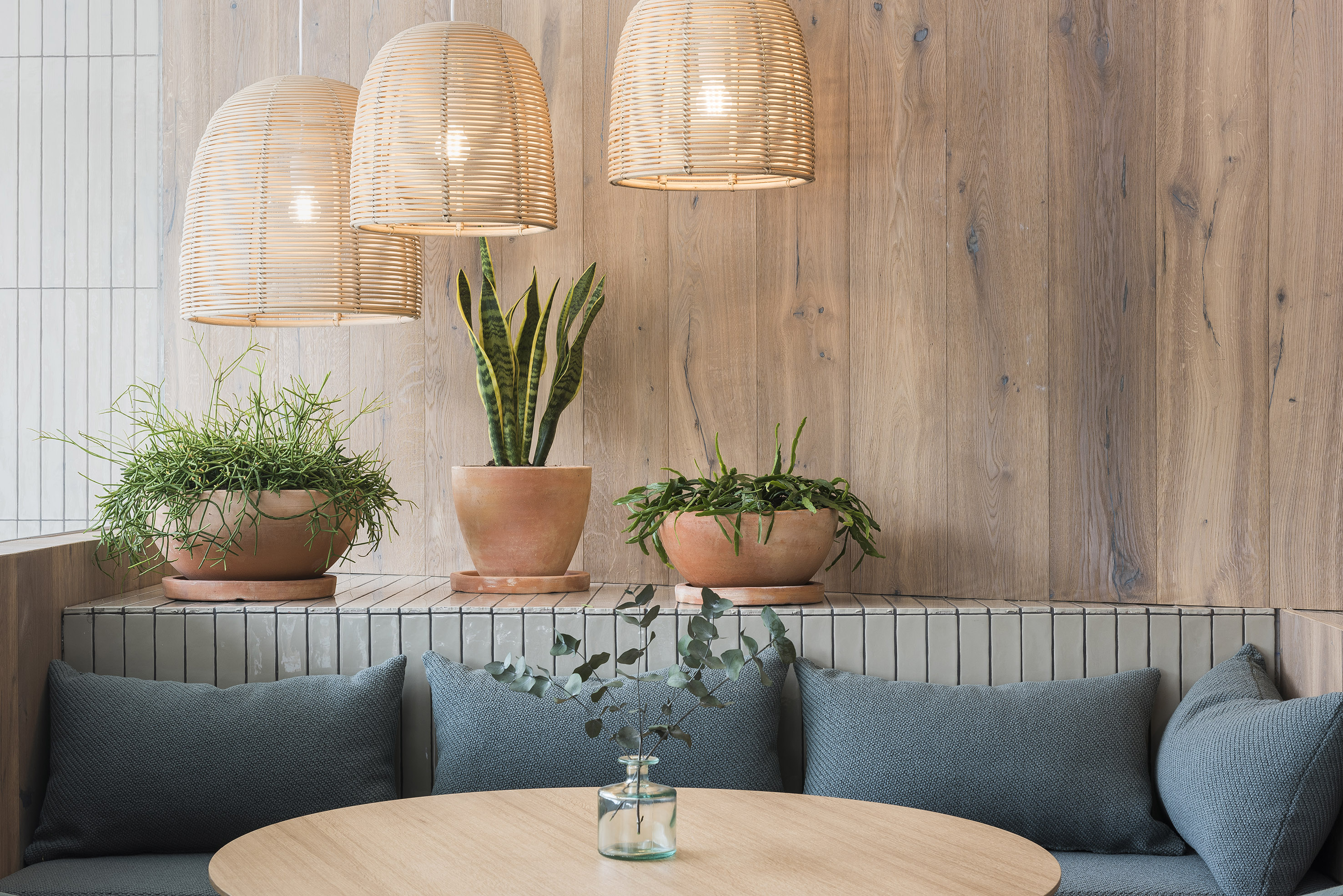 Cafe interior with rattan pendant lights, wood paneling, and potted plants.