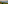 Aerial coastal golf course with green fairways, palm trees, ocean.