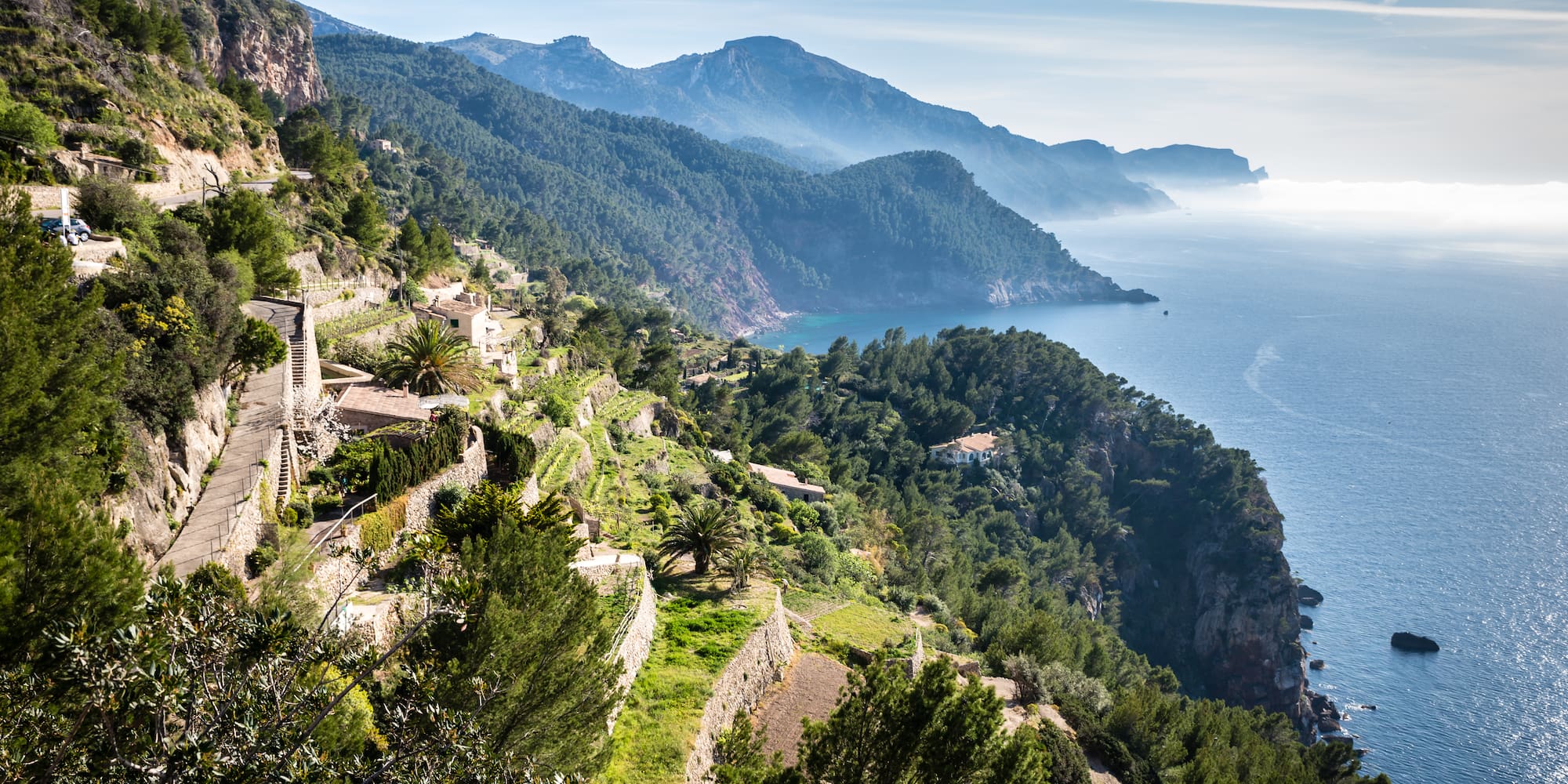 a hillside with trees and mountains in the background