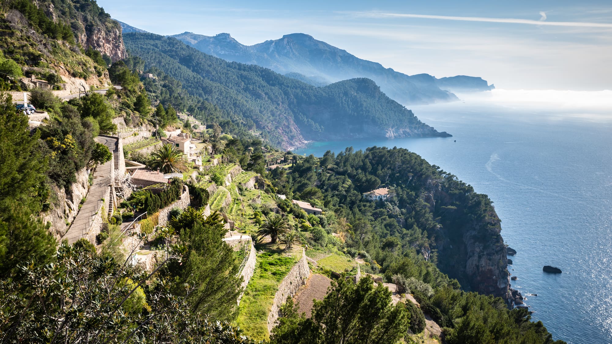 a hillside with trees and mountains in the background