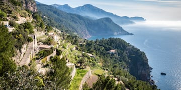 a hillside with trees and mountains in the background