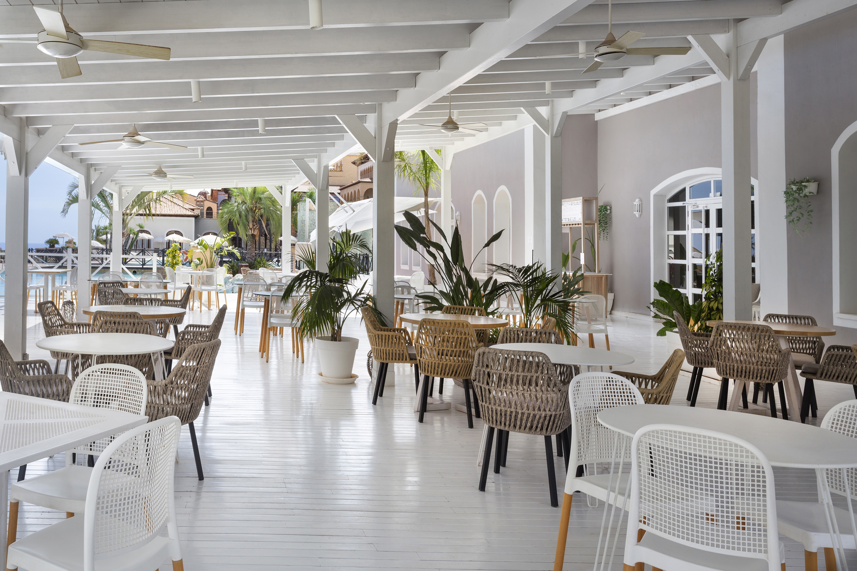 Bright al fresco restaurant with white and woven chairs, tropical plants.