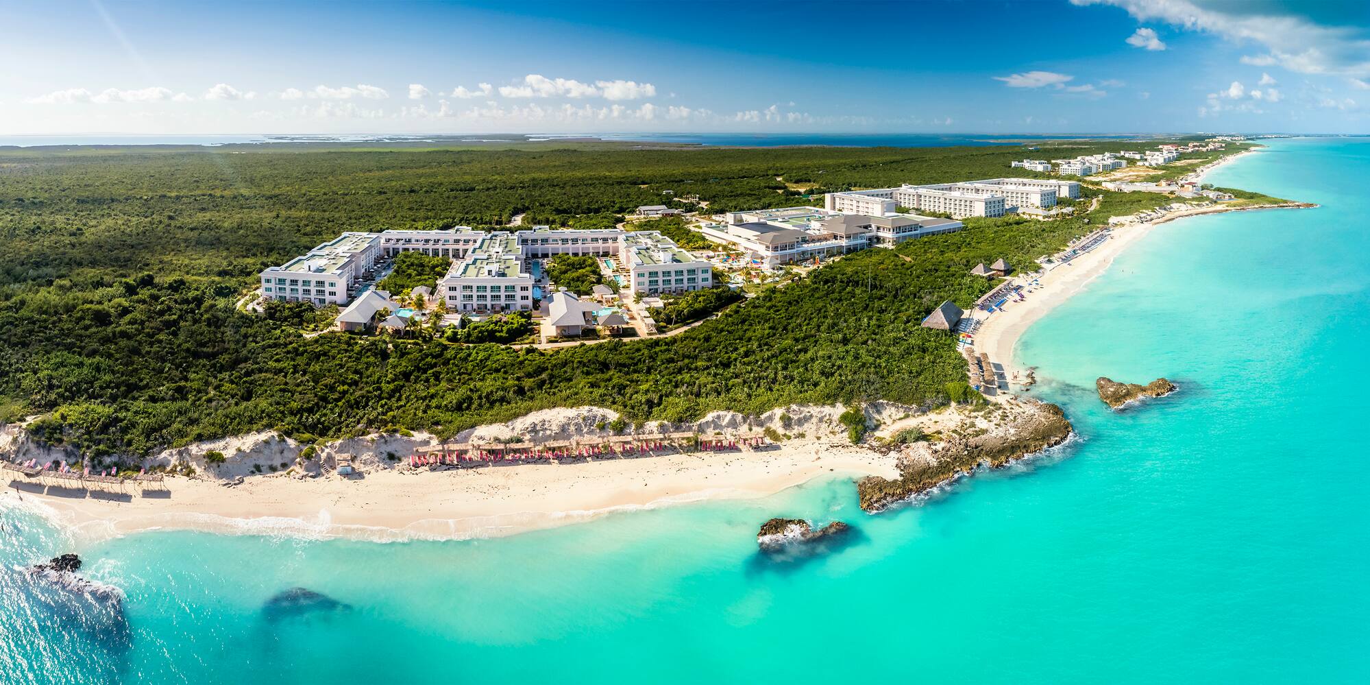 a beach with buildings and trees