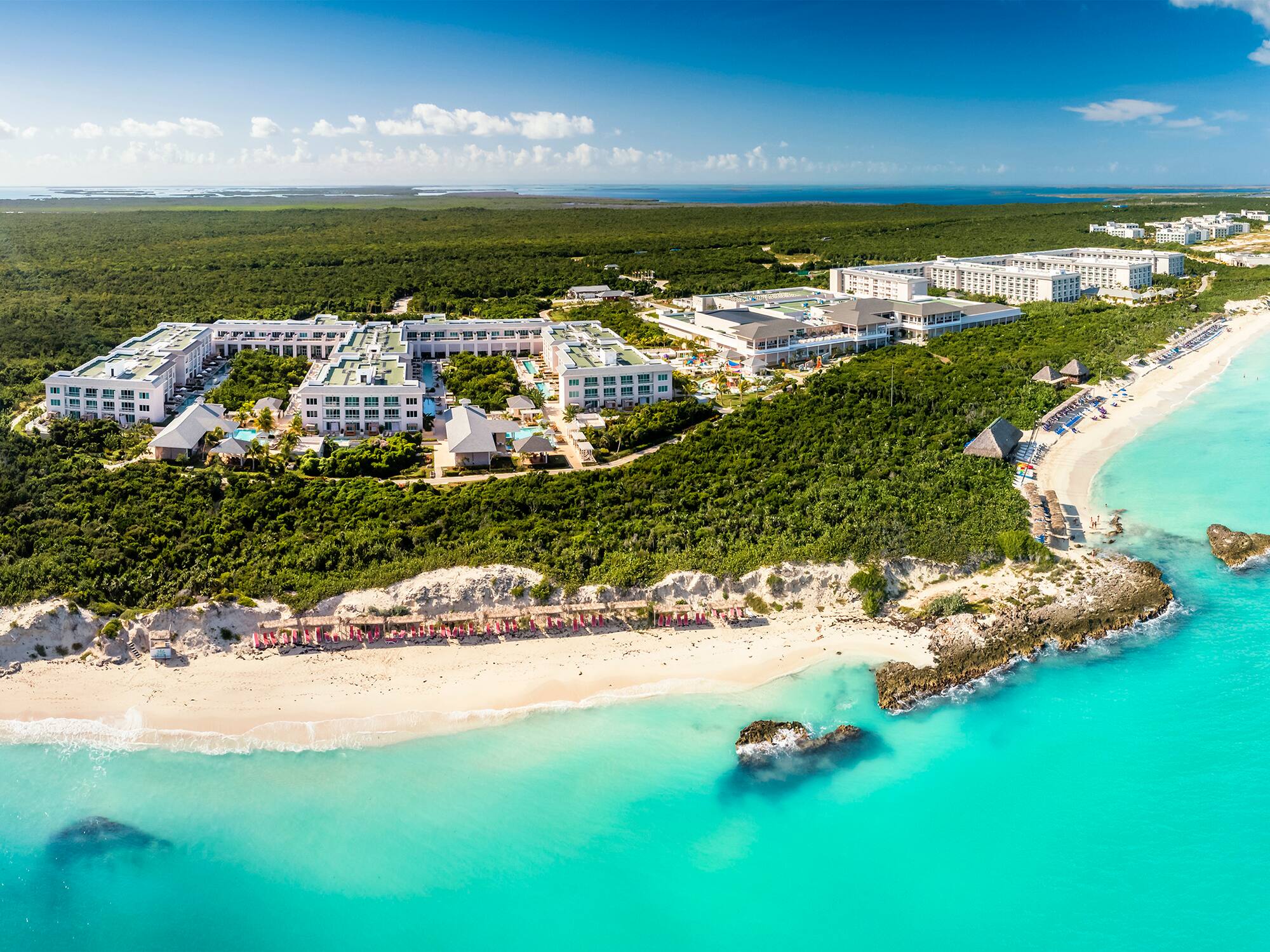 a beach with buildings and trees