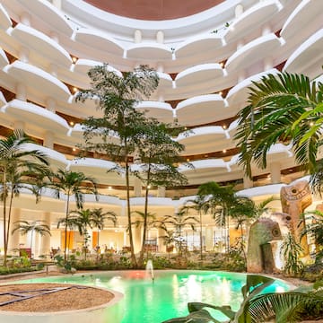 a pool inside a building with trees and plants