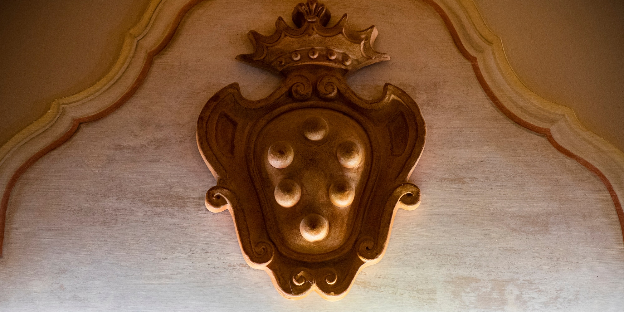 a gold shield with a crown and a crown