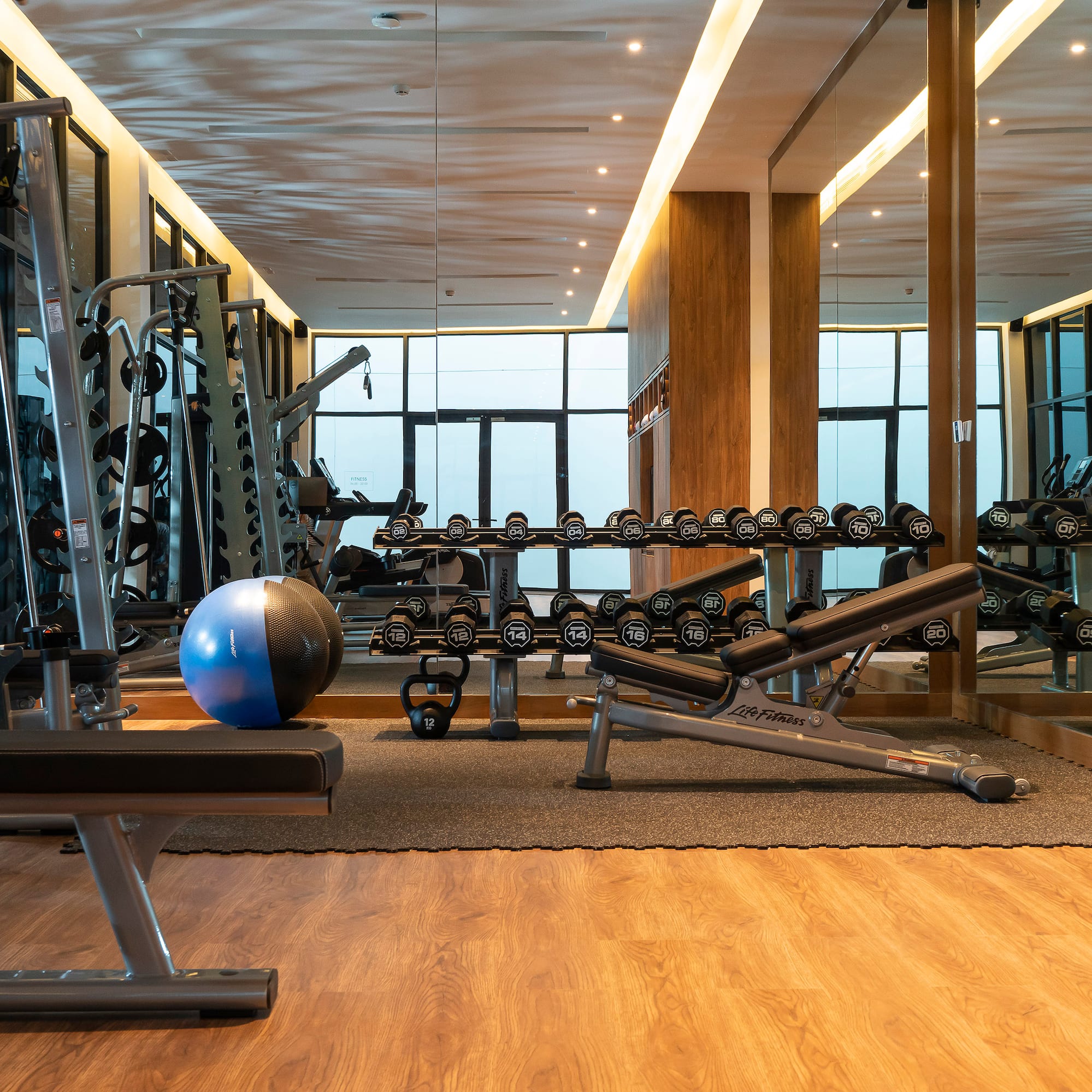a room with weights and a ball