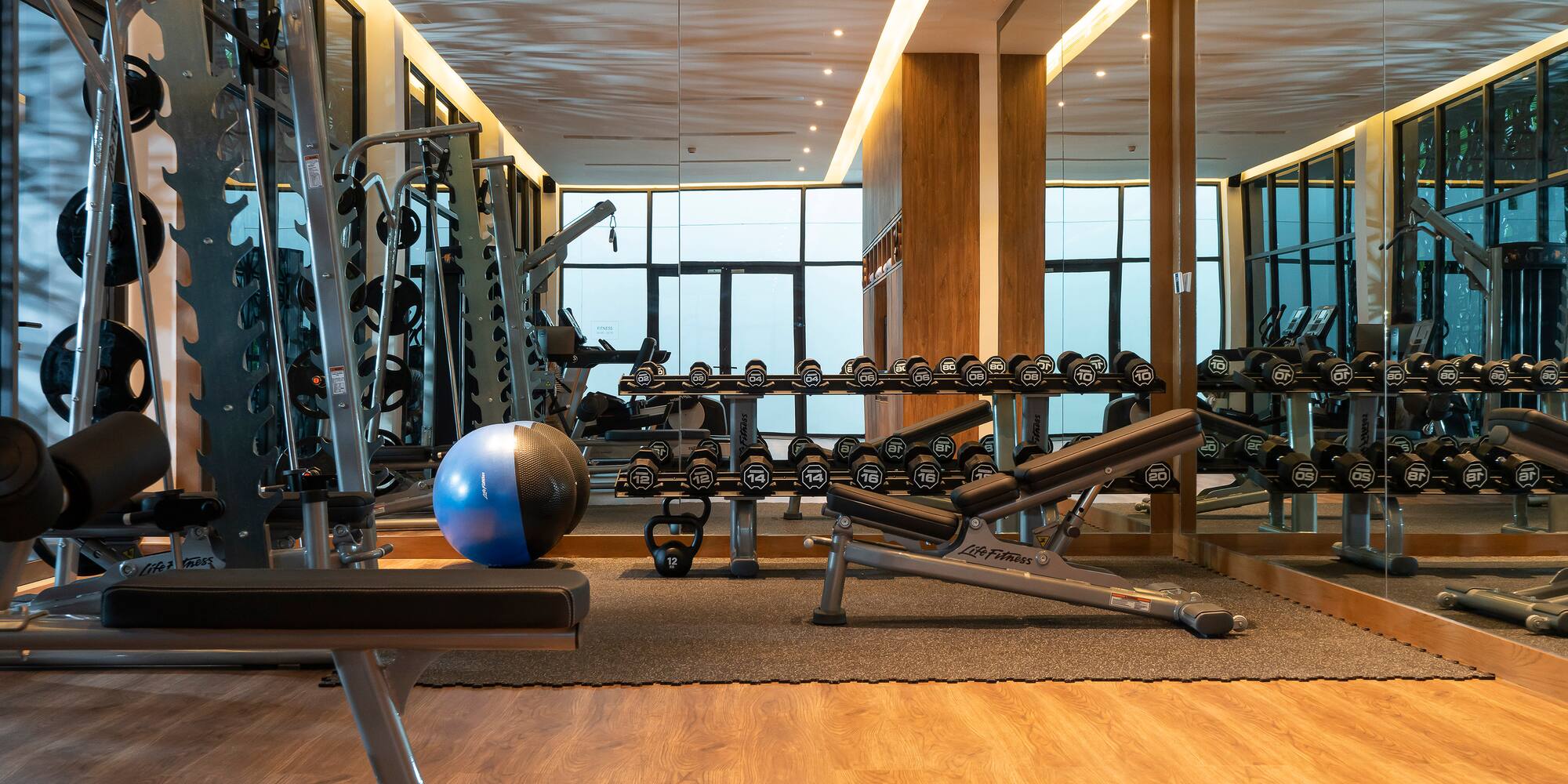 a room with weights and a ball