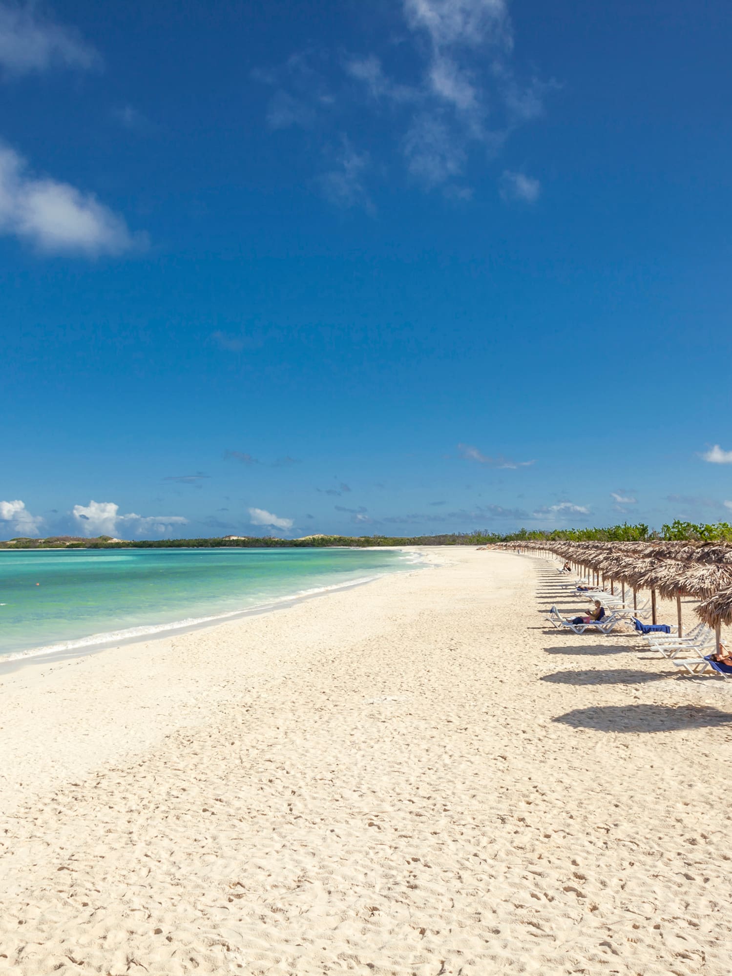 a beach with umbrellas and chairs
