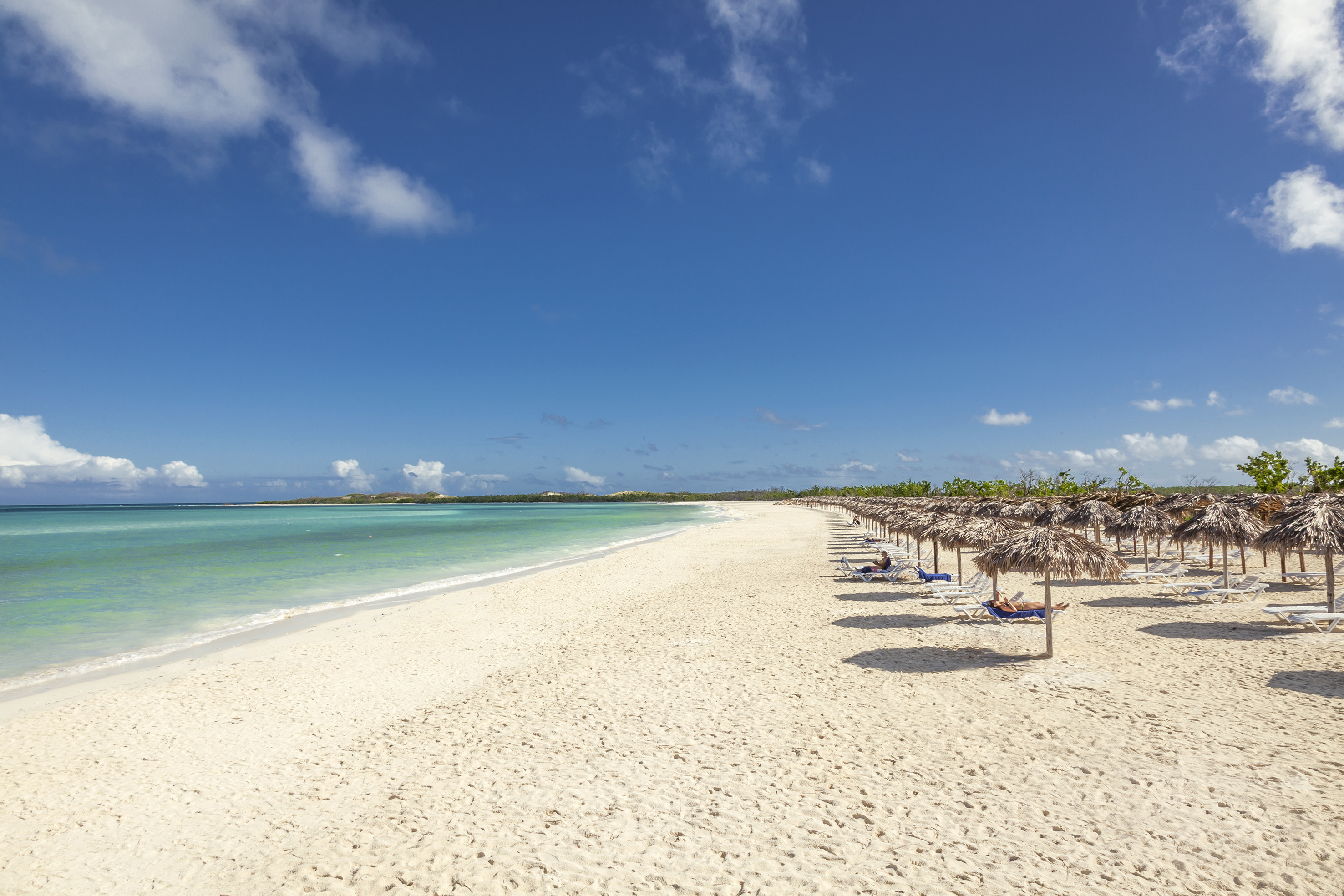a beach with umbrellas and chairs