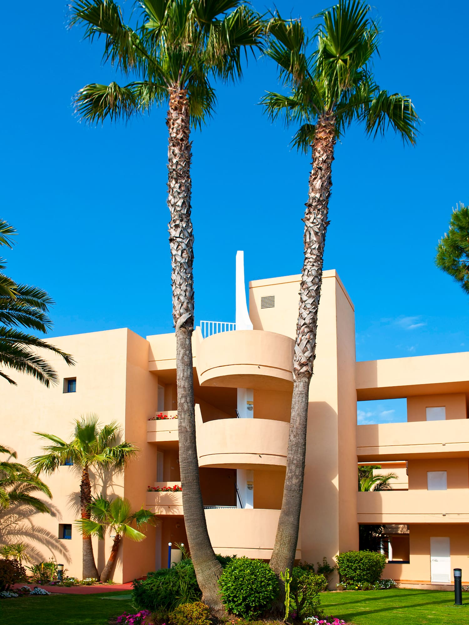 a building with palm trees
