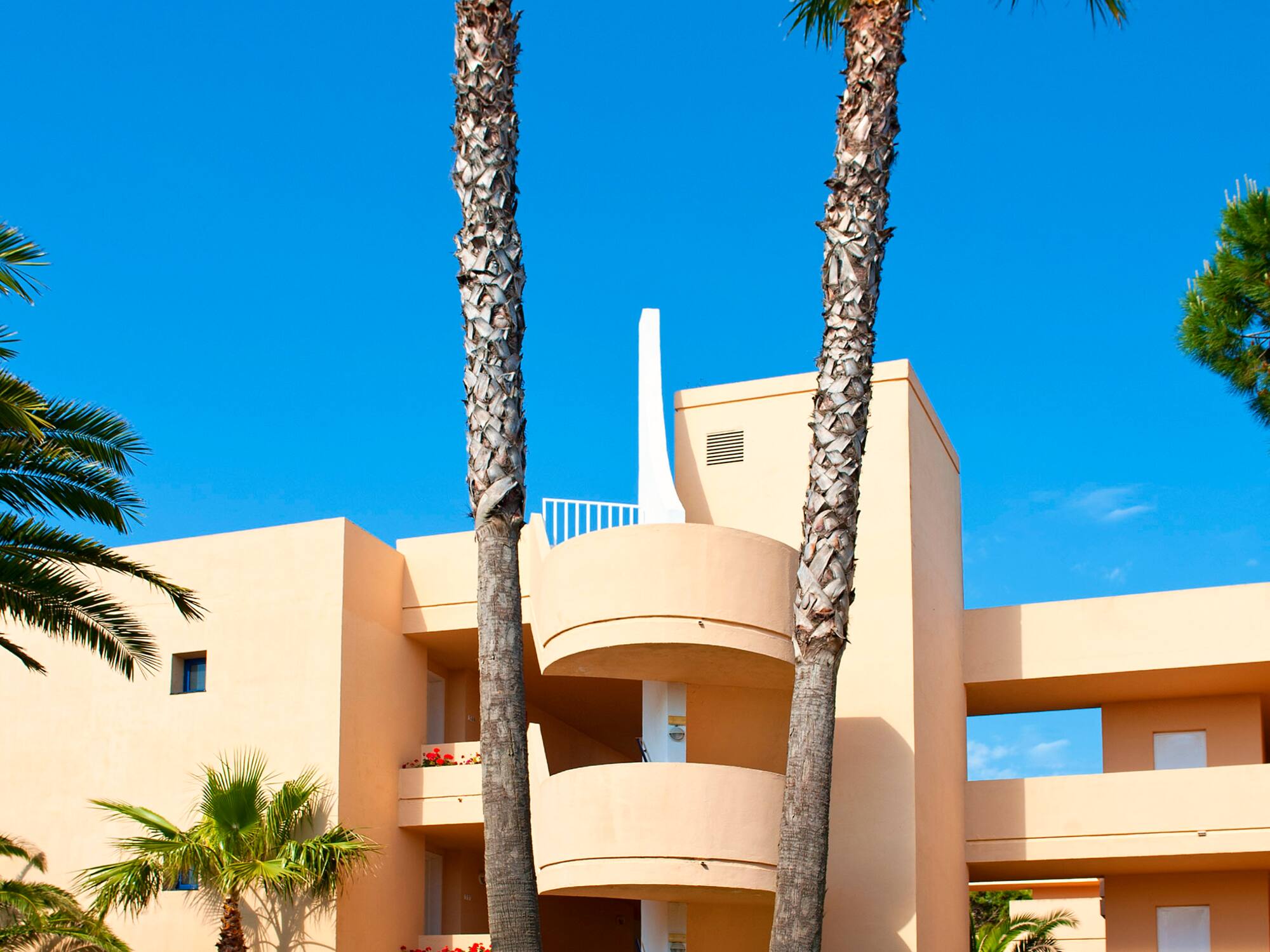 a building with palm trees