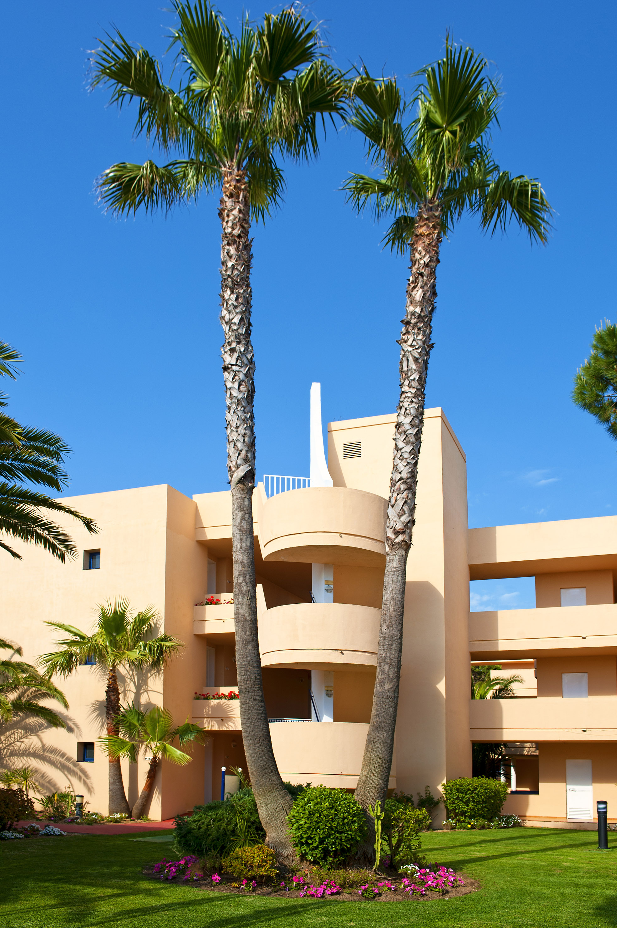 a building with palm trees