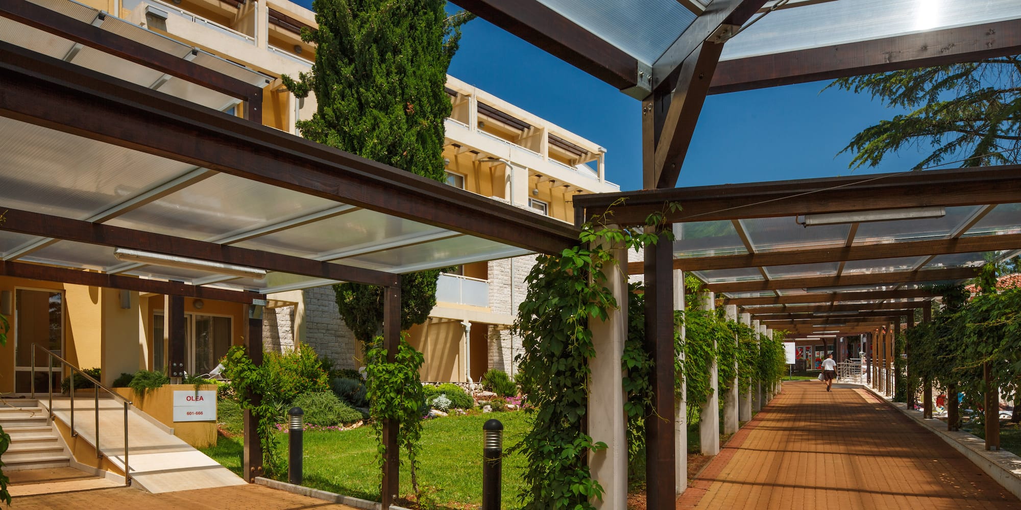 a covered walkway with green plants