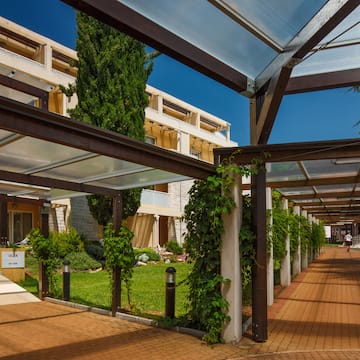 a covered walkway with green plants
