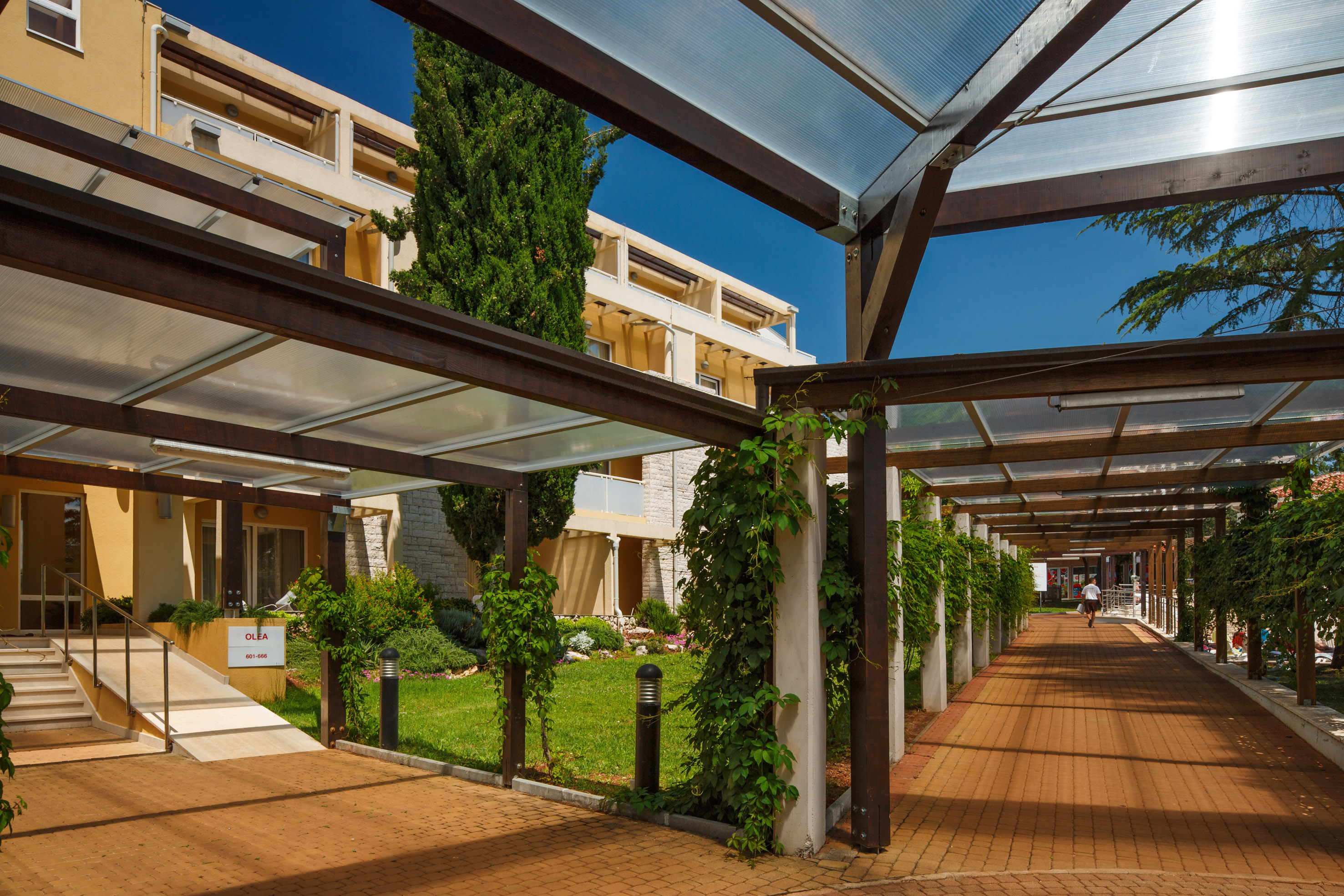 a covered walkway with green plants