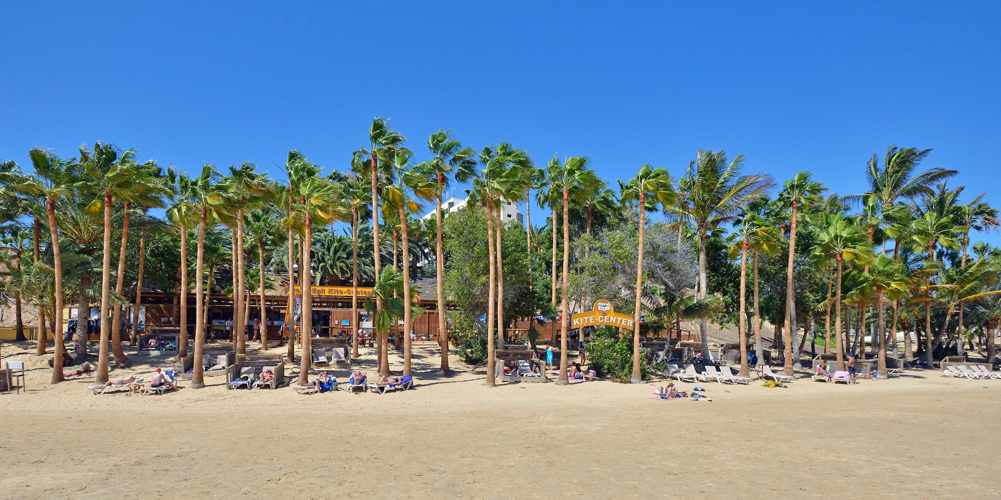 a group of people on a beach with palm trees