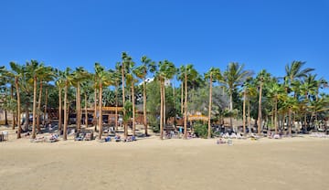 a group of people on a beach with palm trees