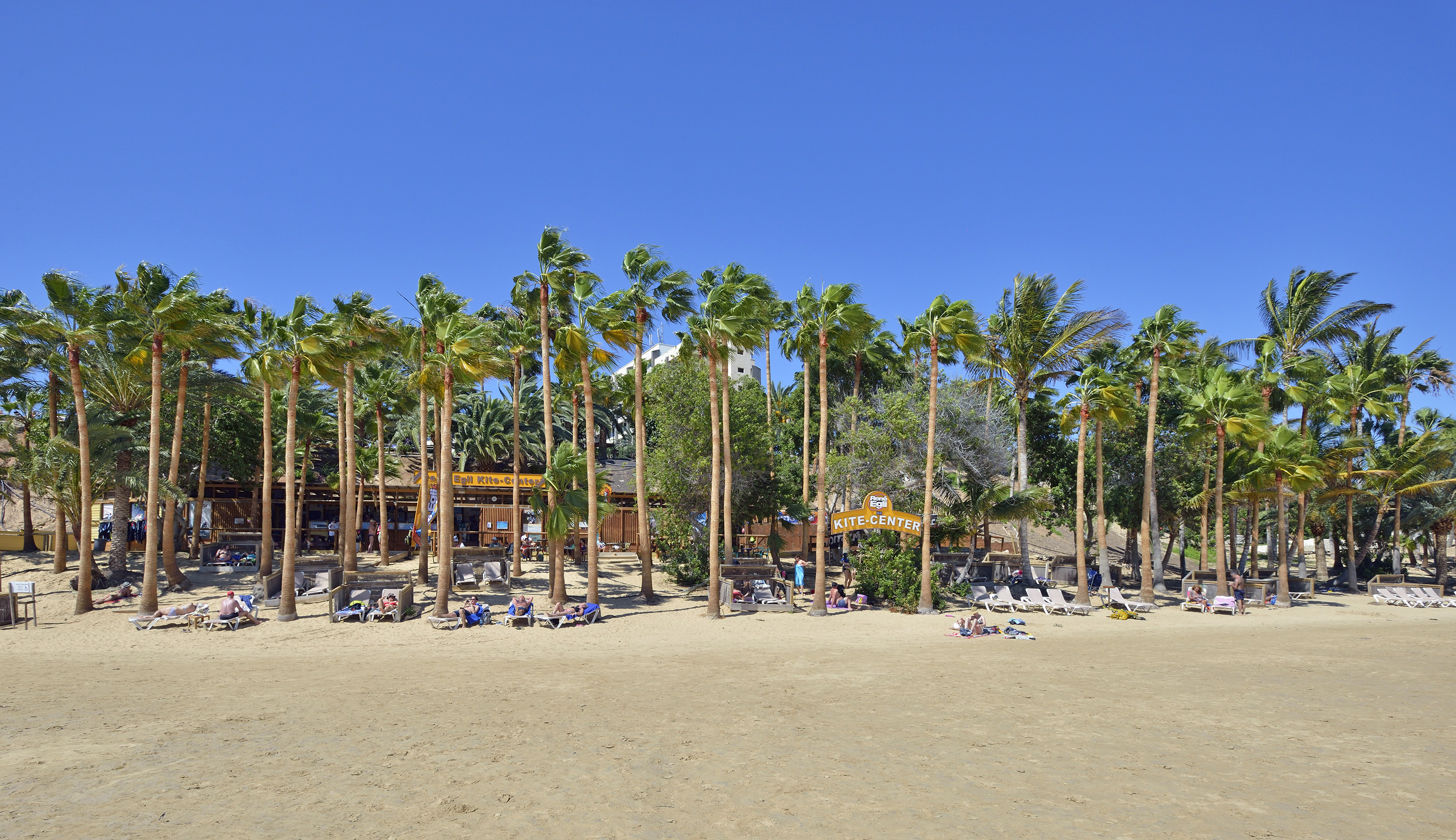 Tropical sandy beach with palm trees, Kite Center, and sunbathers.