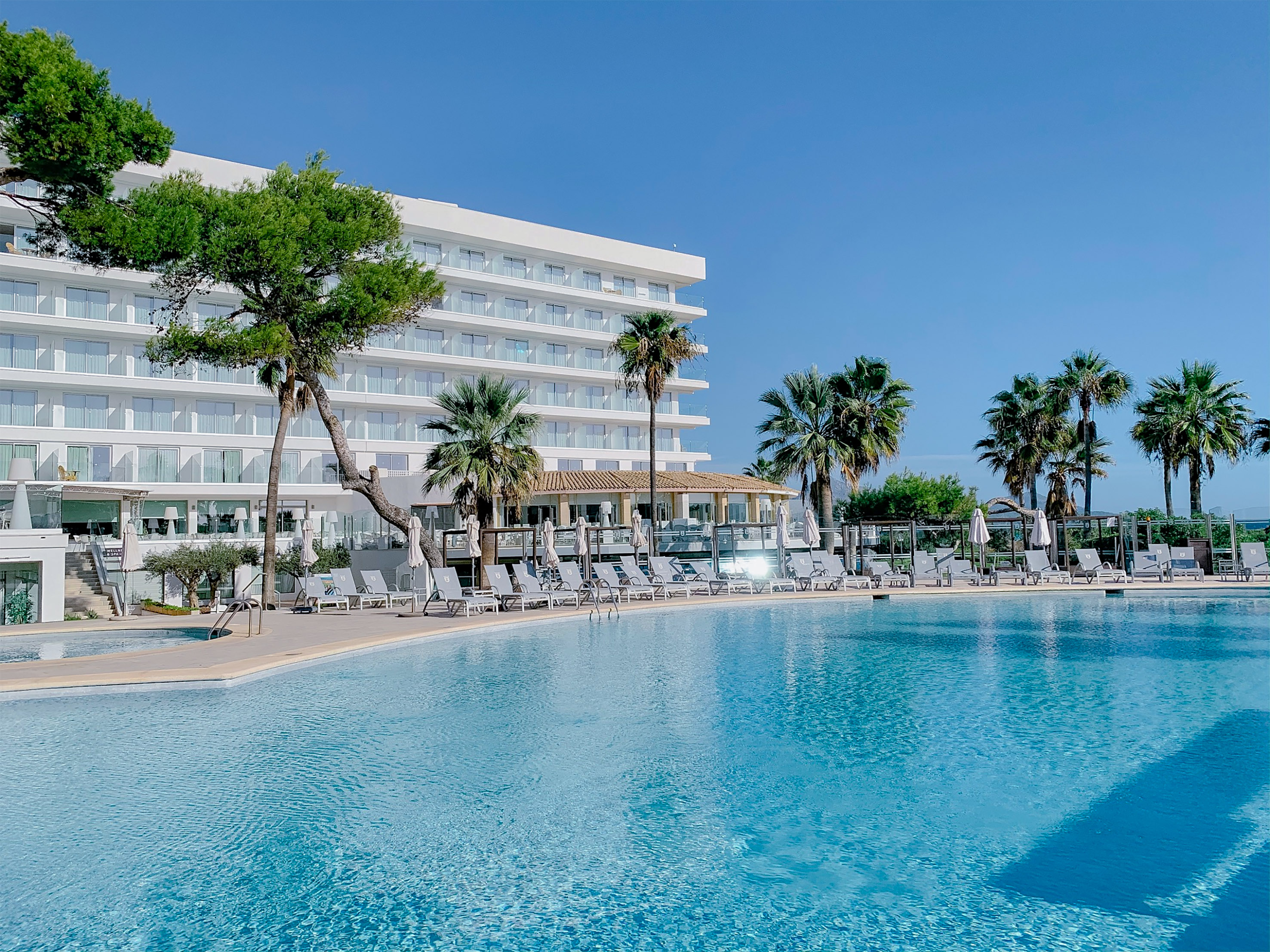 a pool with palm trees and a building in the background