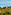 Bellver Castle, Mallorca, on a forested hill under blue sky.