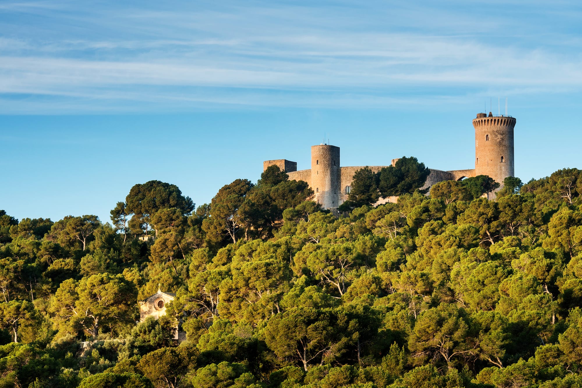 a castle on a hill with trees