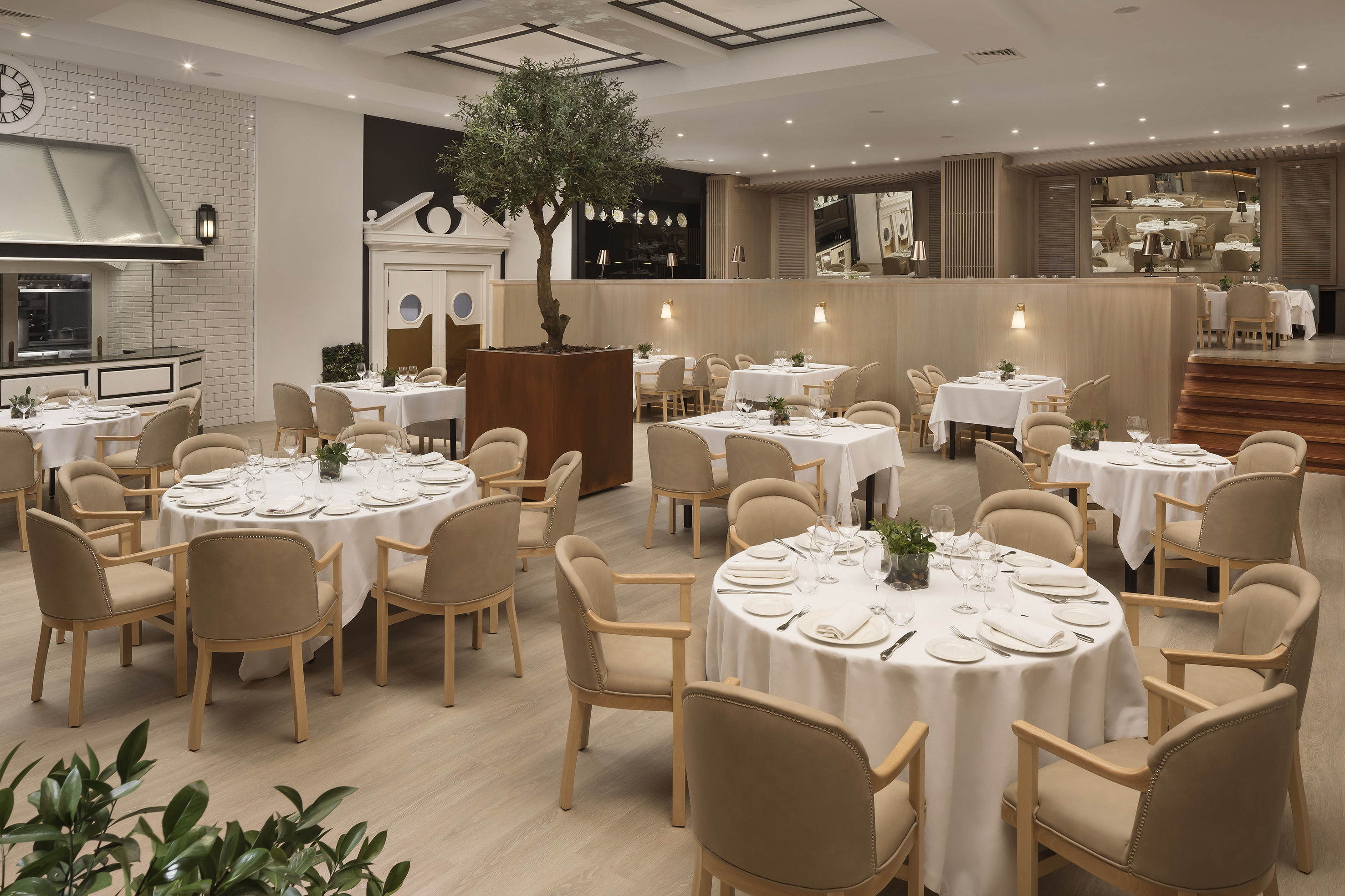 Elegant modern restaurant dining room with set tables, beige chairs, and an olive tree.
