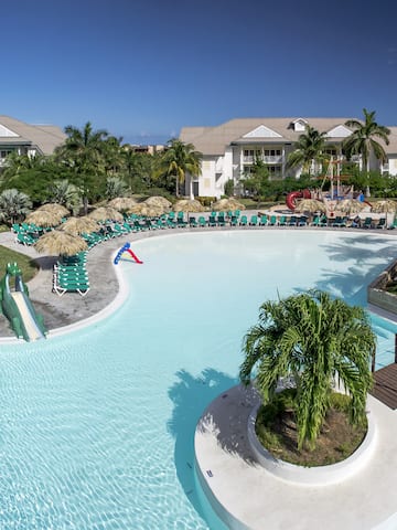 a swimming pool with a slide and palm trees