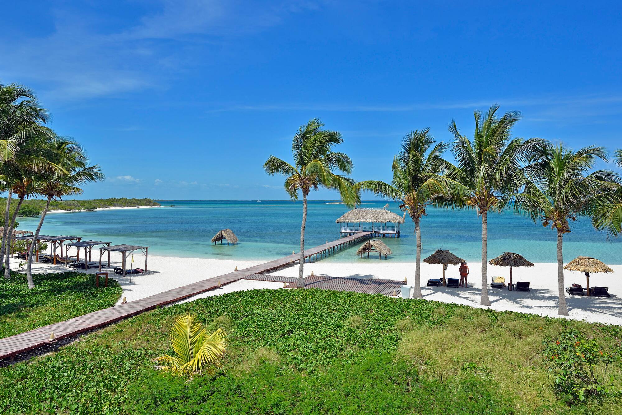 a beach with palm trees and a dock
