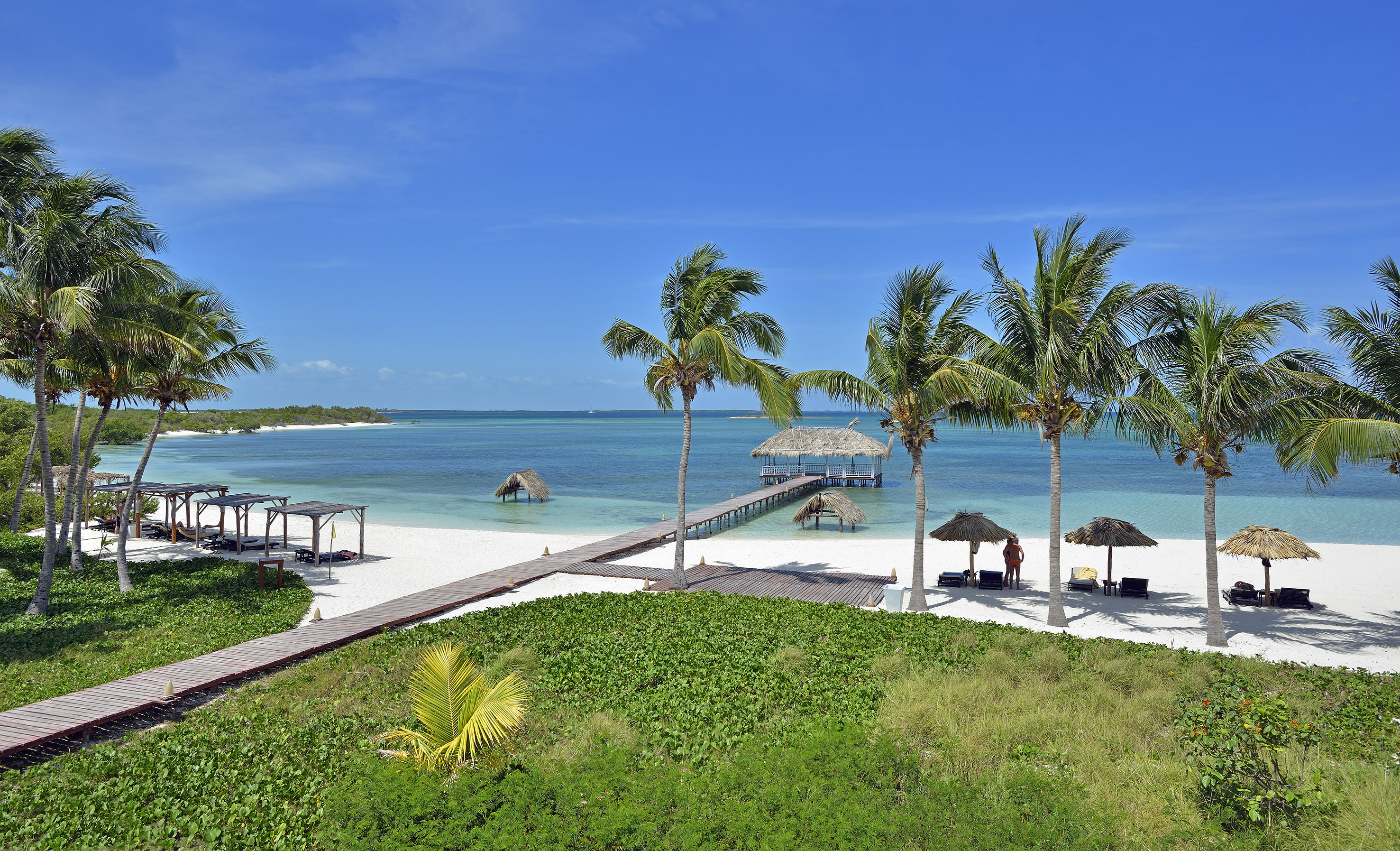 a beach with palm trees and a dock